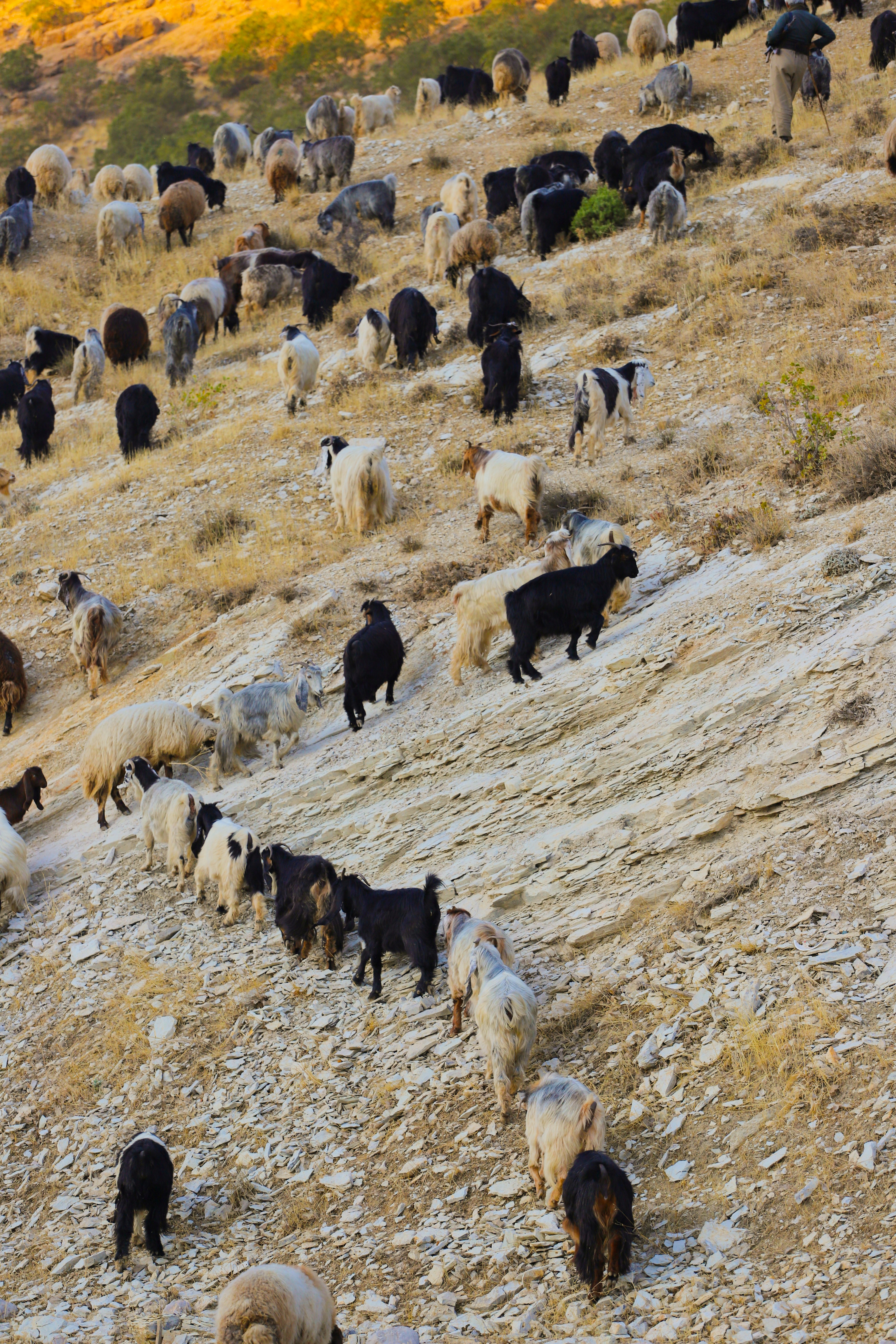 Photo by zrngngharib
