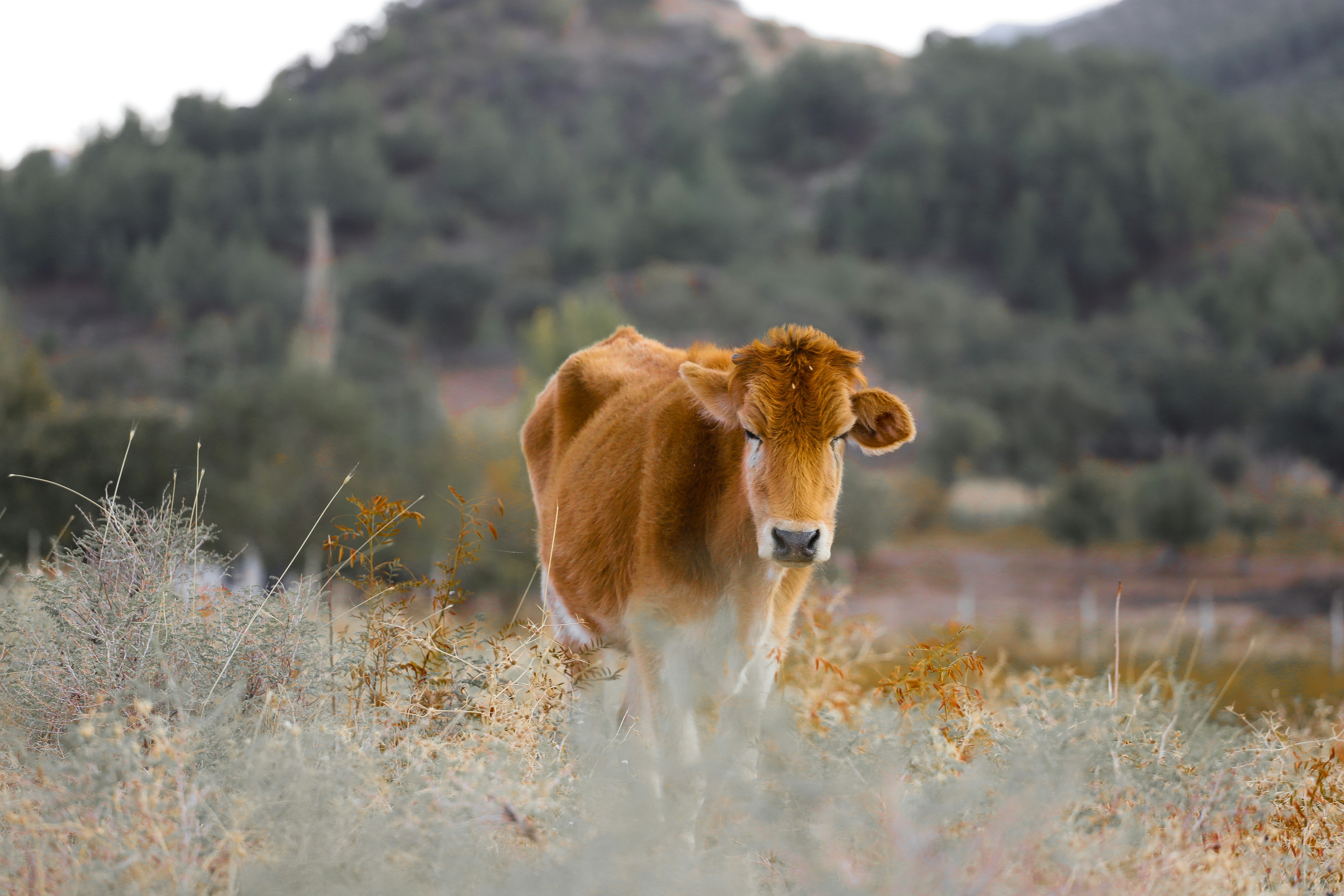 Photo by zrngngharib