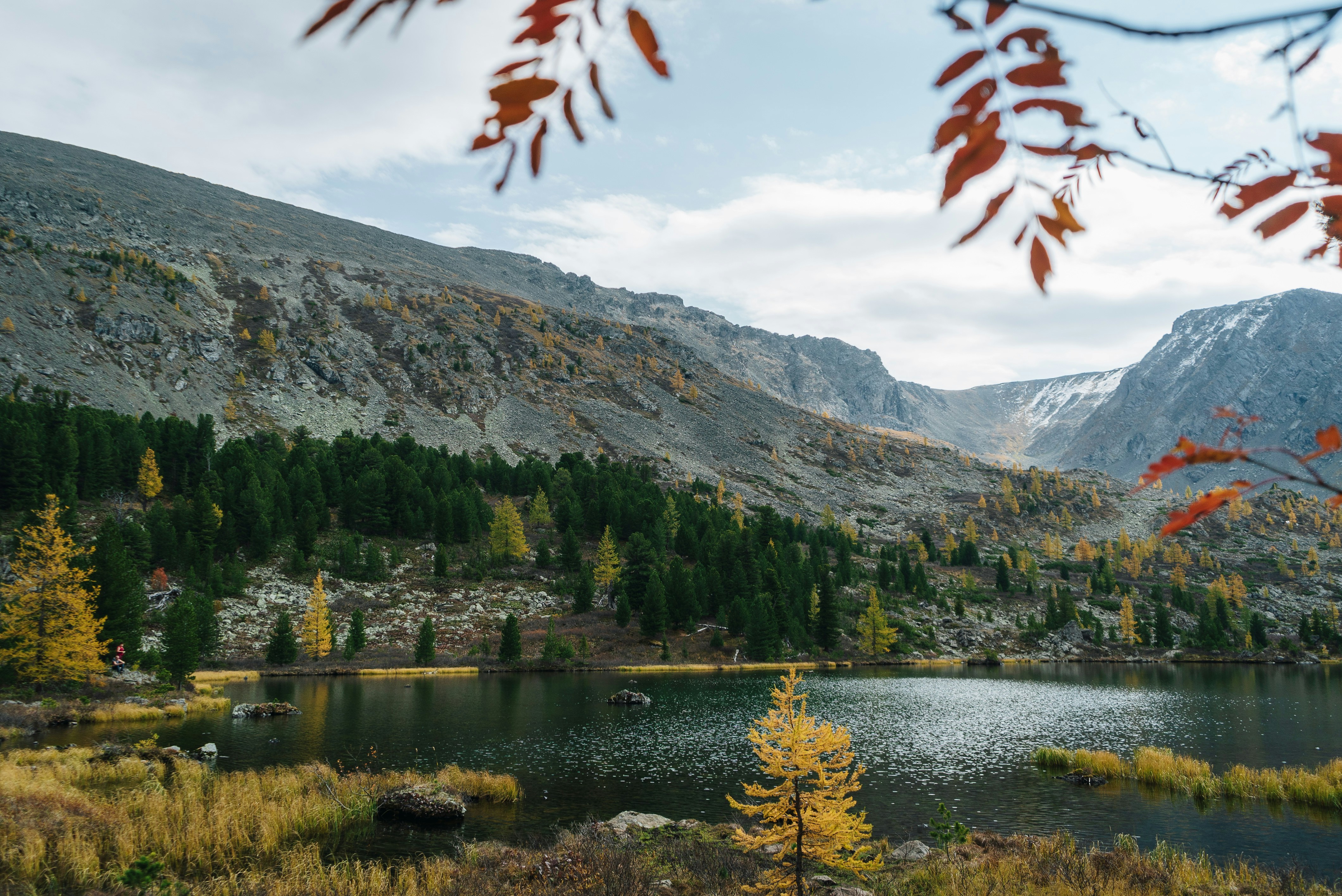 Зелёные деревья у озера и горы в дневное время