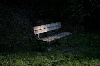 brown wooden bench on green grass field