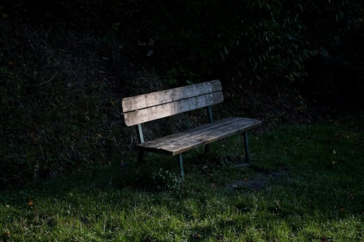 brown wooden bench on green grass field