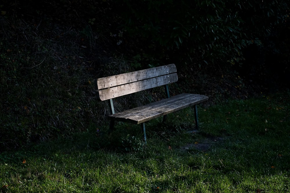 Banco de madera marrón en campo de hierba verde