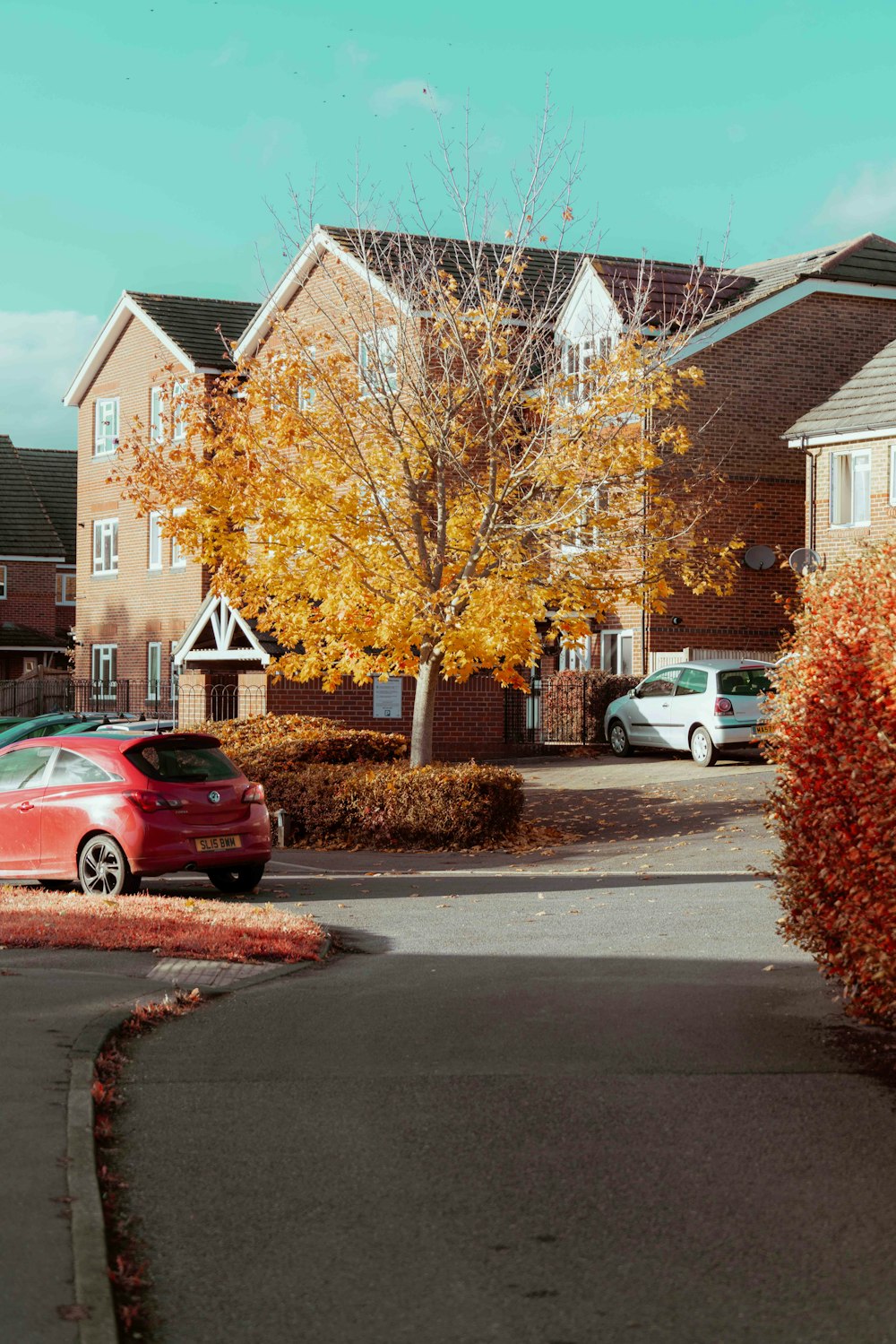 Rote Limousine tagsüber neben braunem Baum geparkt