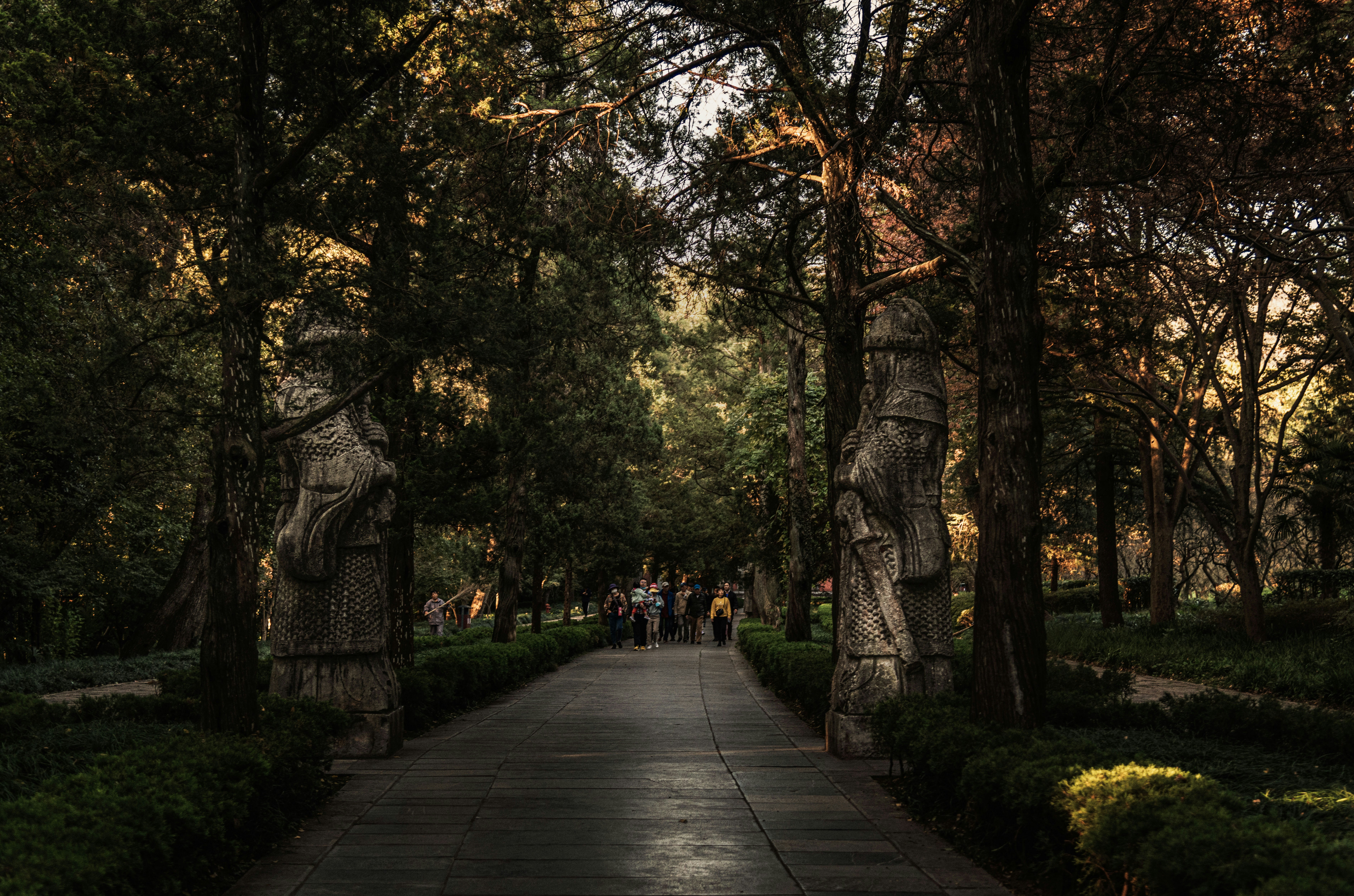 Photo by zhaochen1975