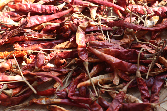 Close-up of vibrant red chillies drying in the sun on a rustic wooden tray.