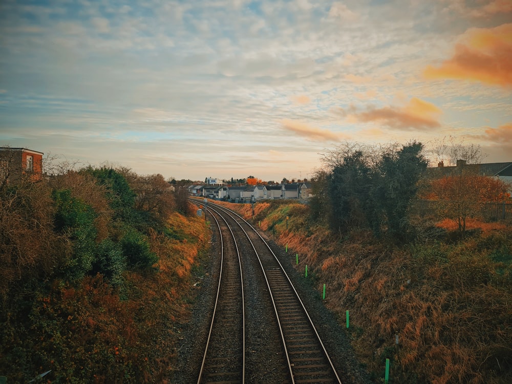 train rail in the middle of green trees