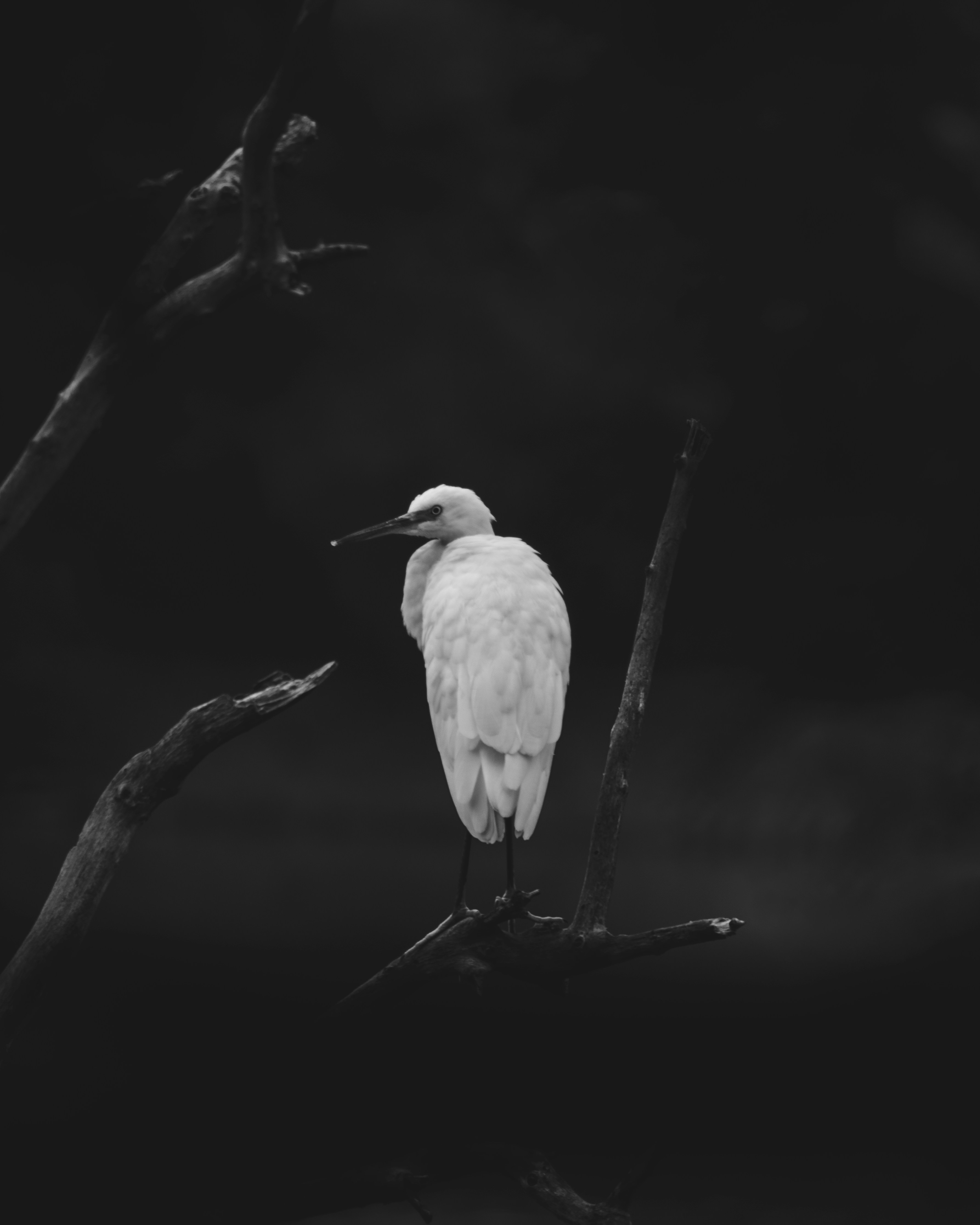 Photo by chirag14