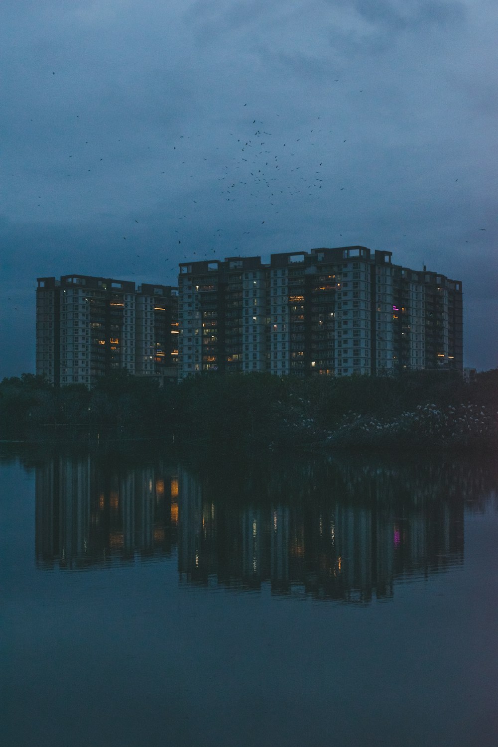 city skyline during night time