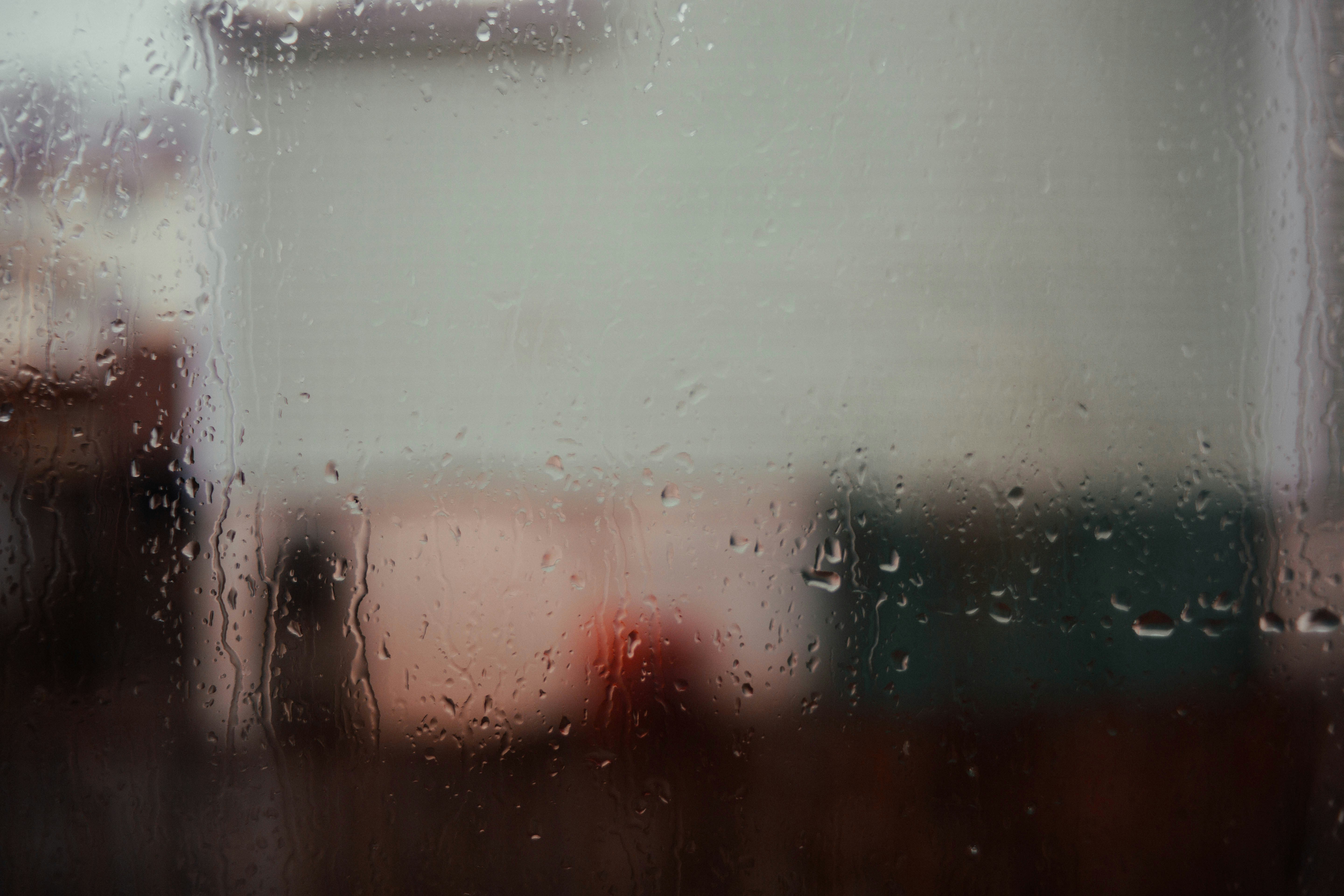 Photo by theshuttervision