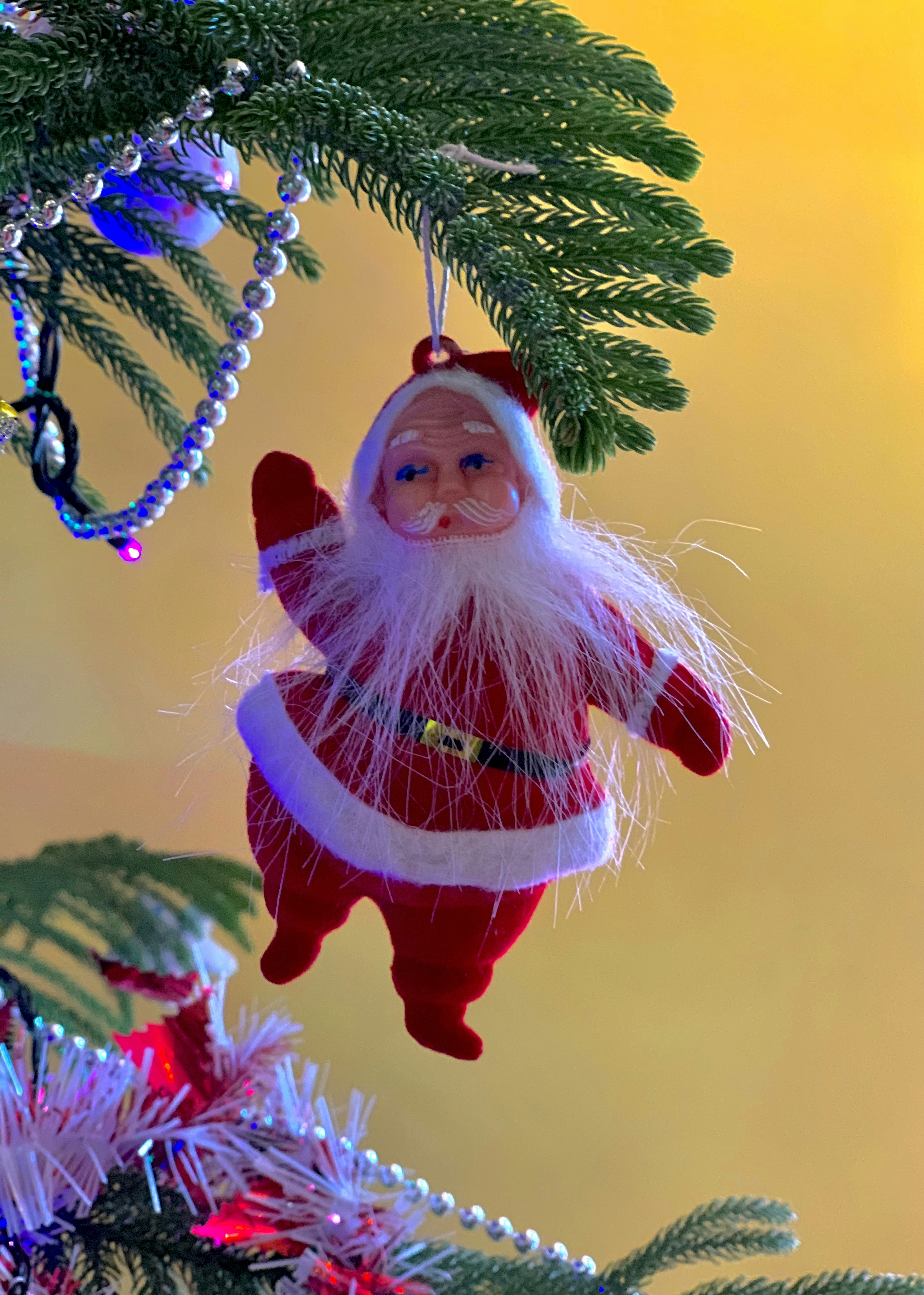 Photo by subhashnusetti