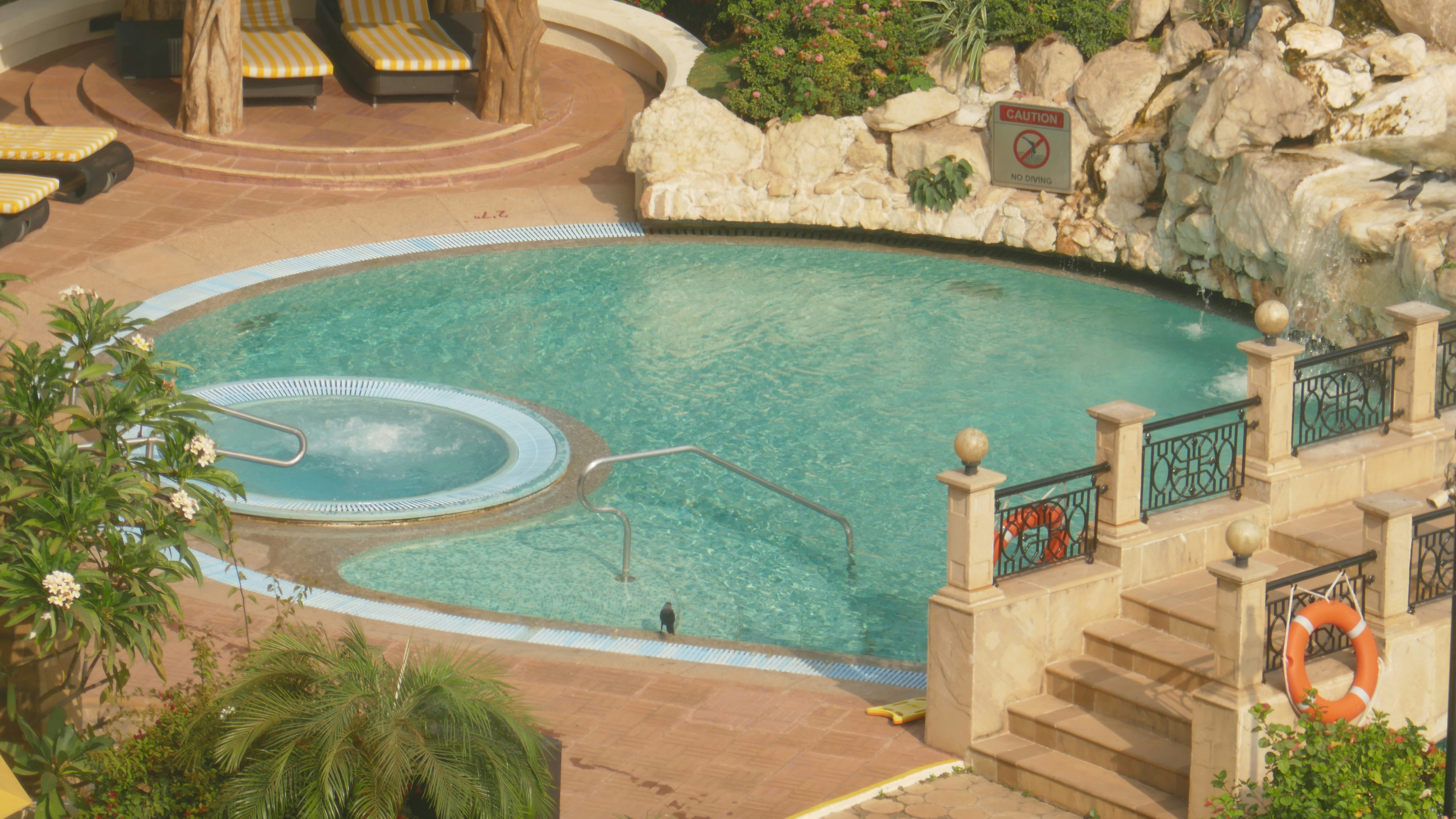 Swimming pool near green trees