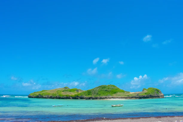 A small boat approaching a lush island with clear blue waters.
