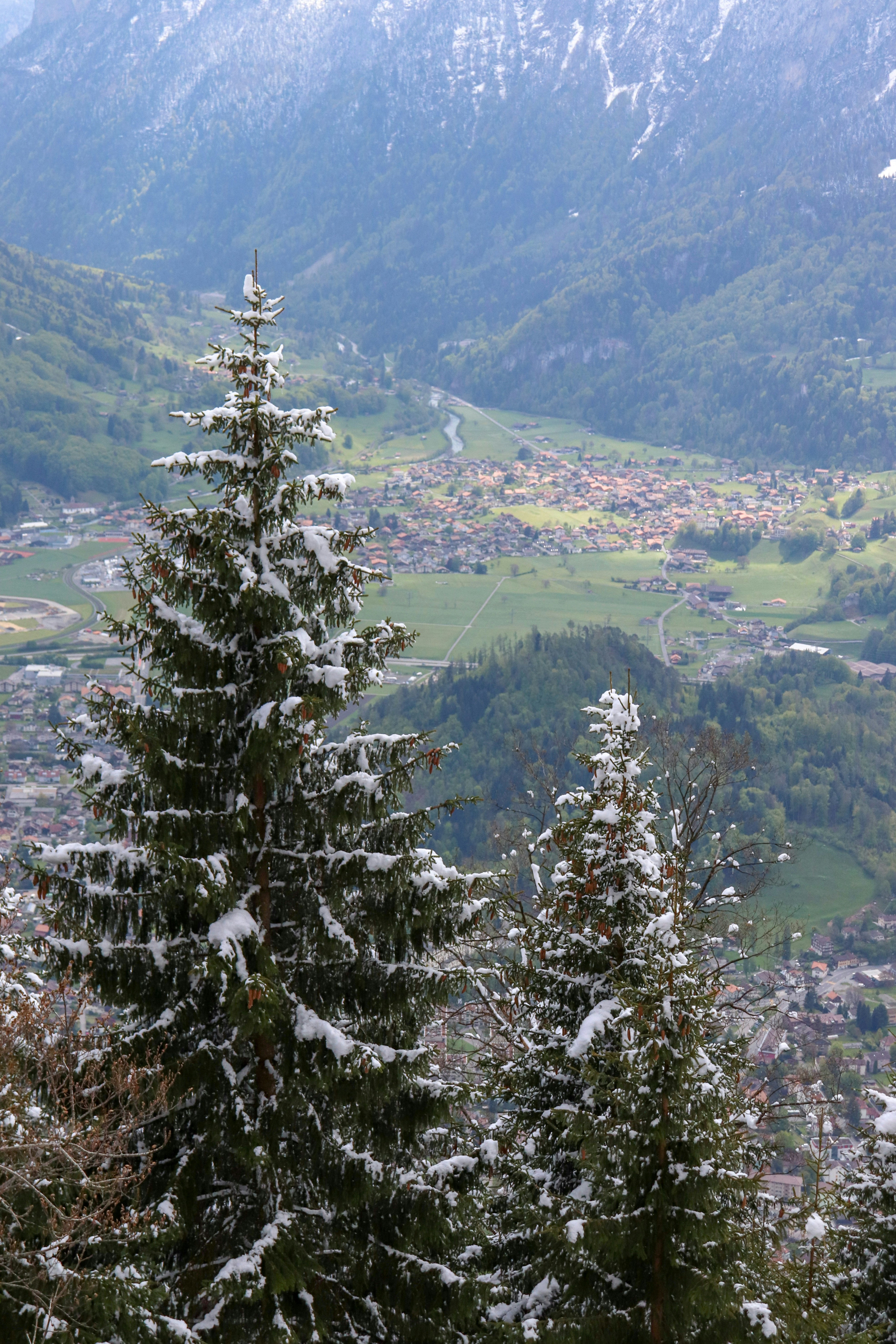 Photo by rodrigocuri