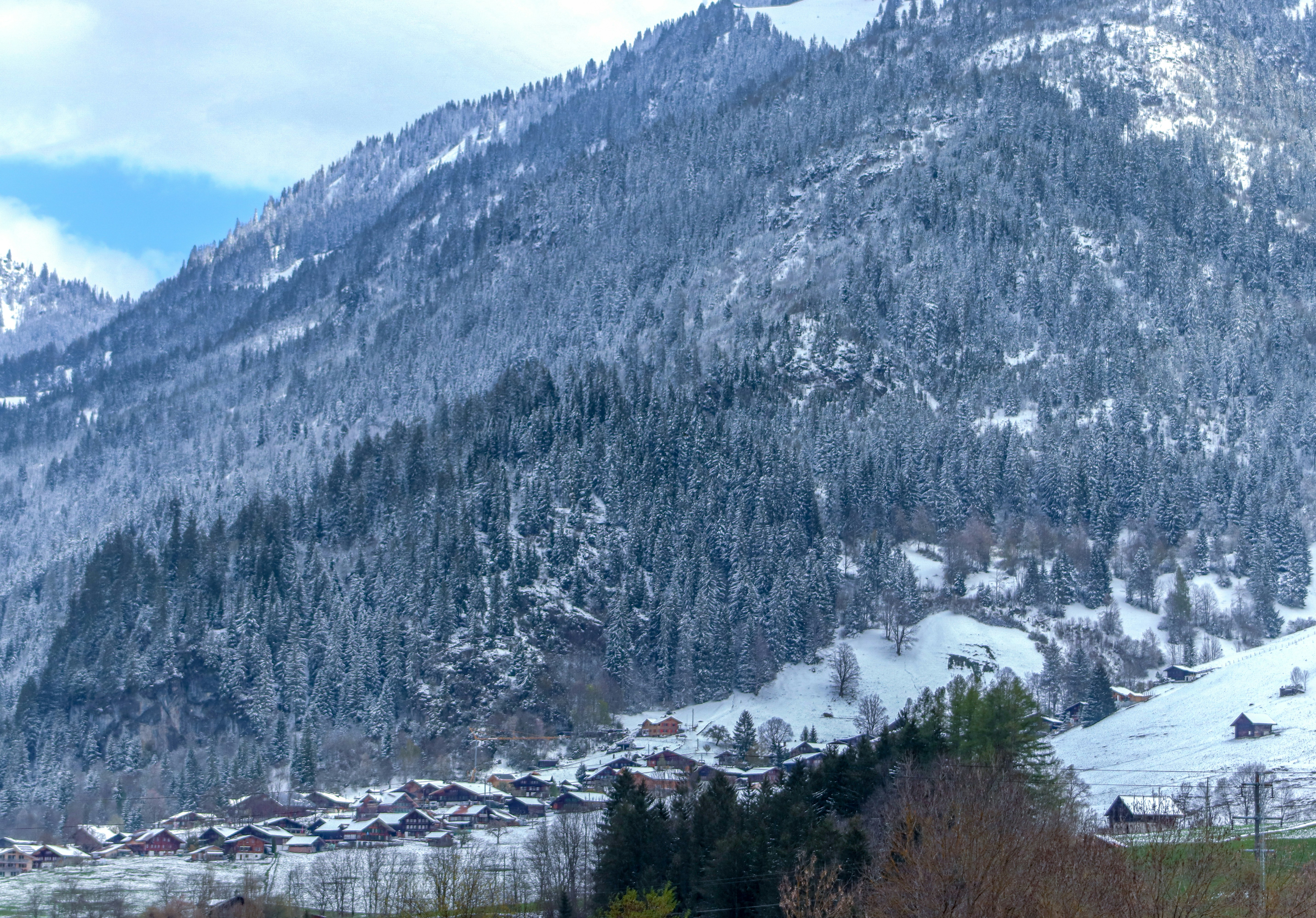 Photo by rodrigocuri