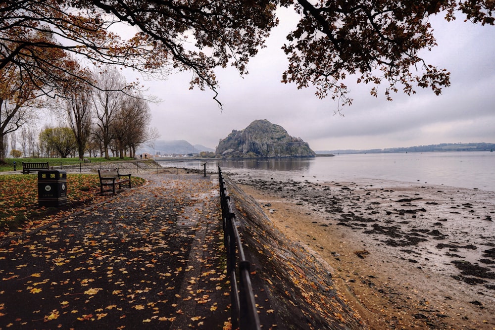 brown wooden fence near body of water during daytime