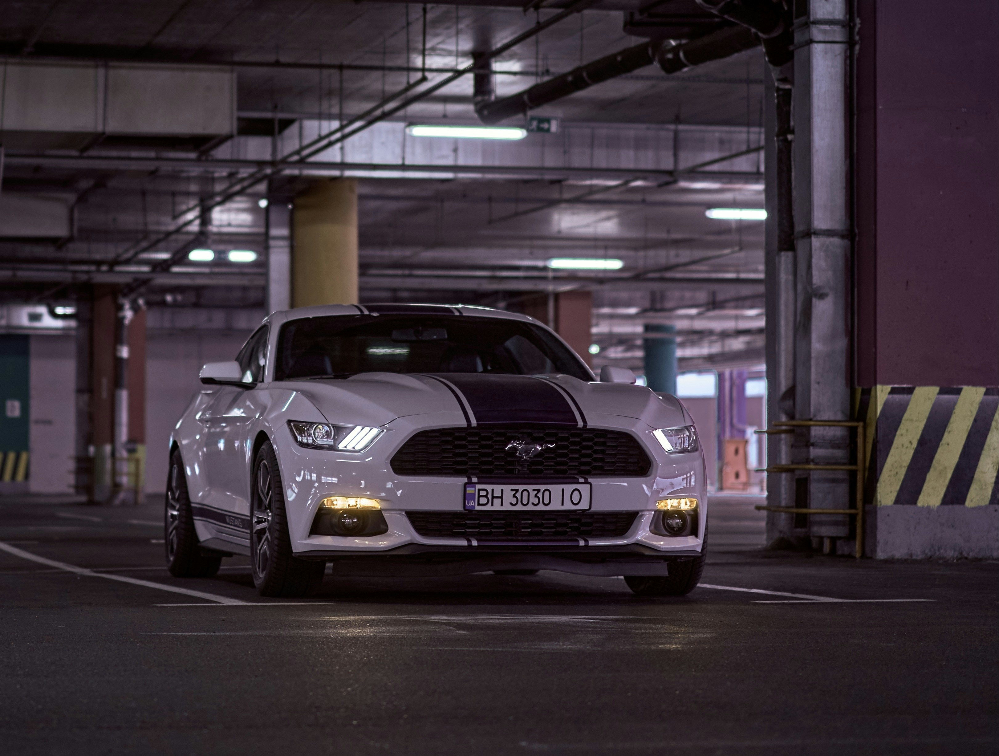 Photo by wonderland8