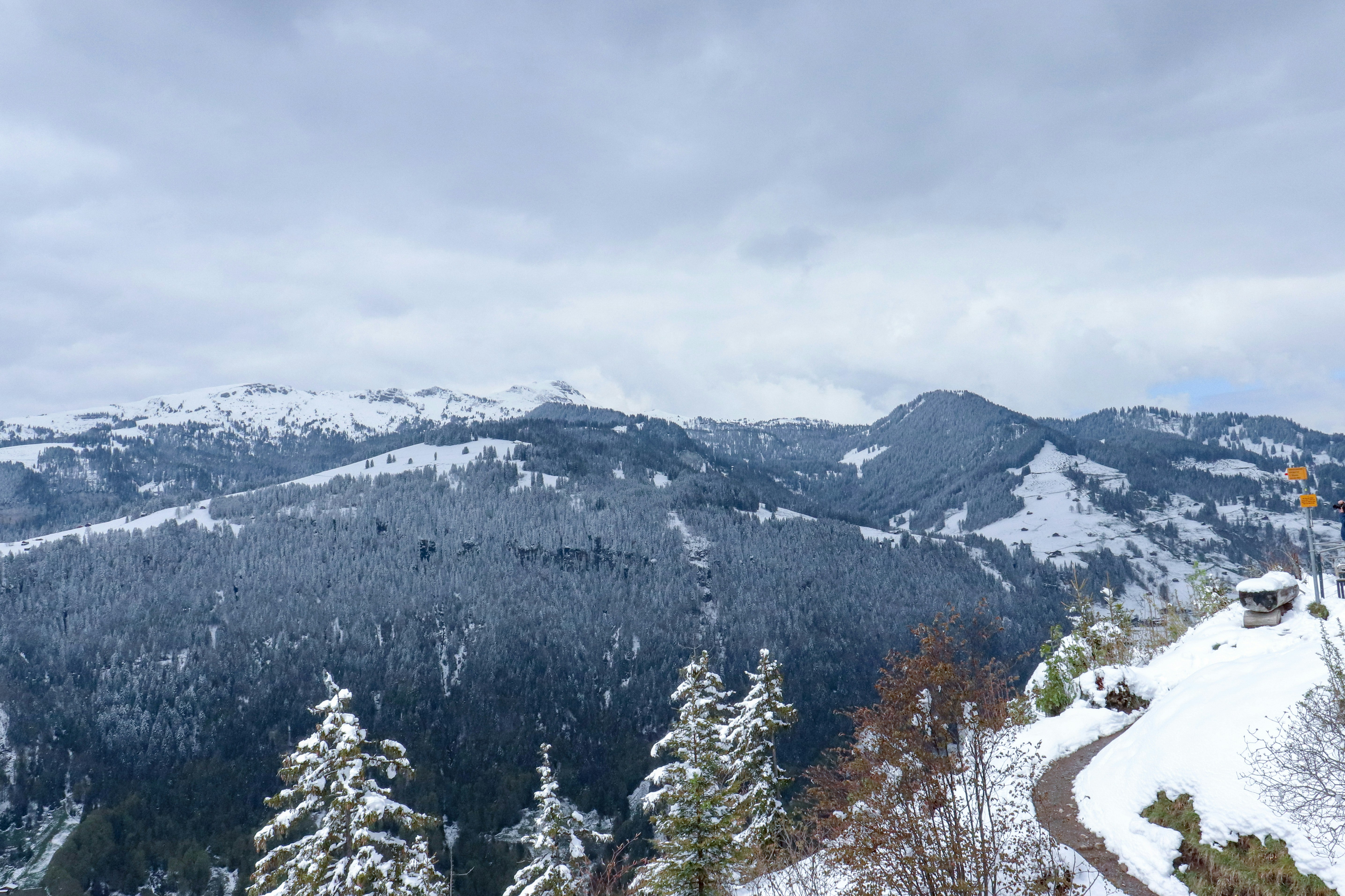 Photo by rodrigocuri