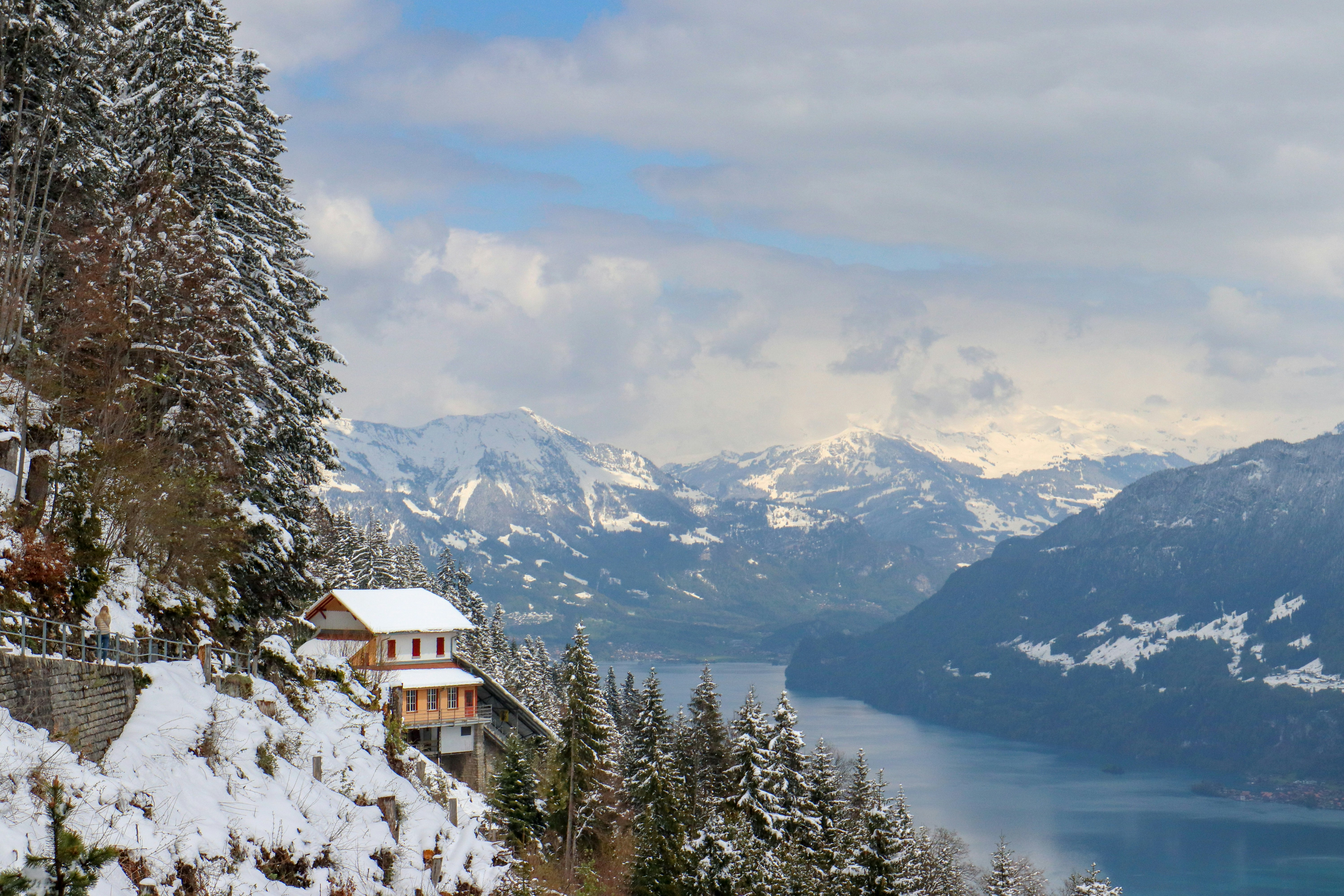 white and brown house near green trees and snow covered mountains during daytime