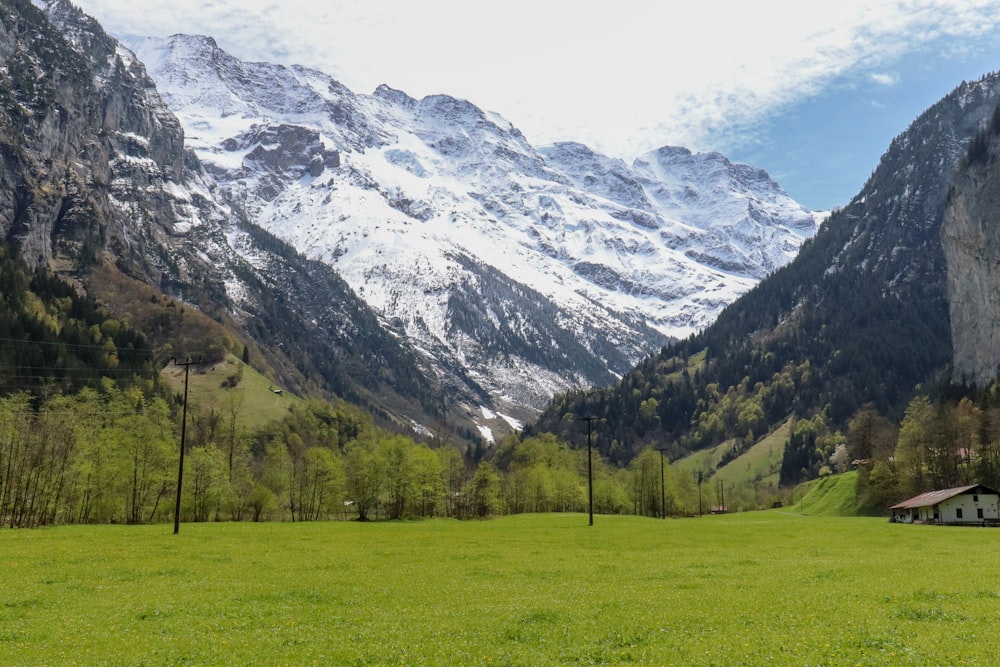 Grünes Grasfeld in der Nähe des schneebedeckten Berges tagsüber