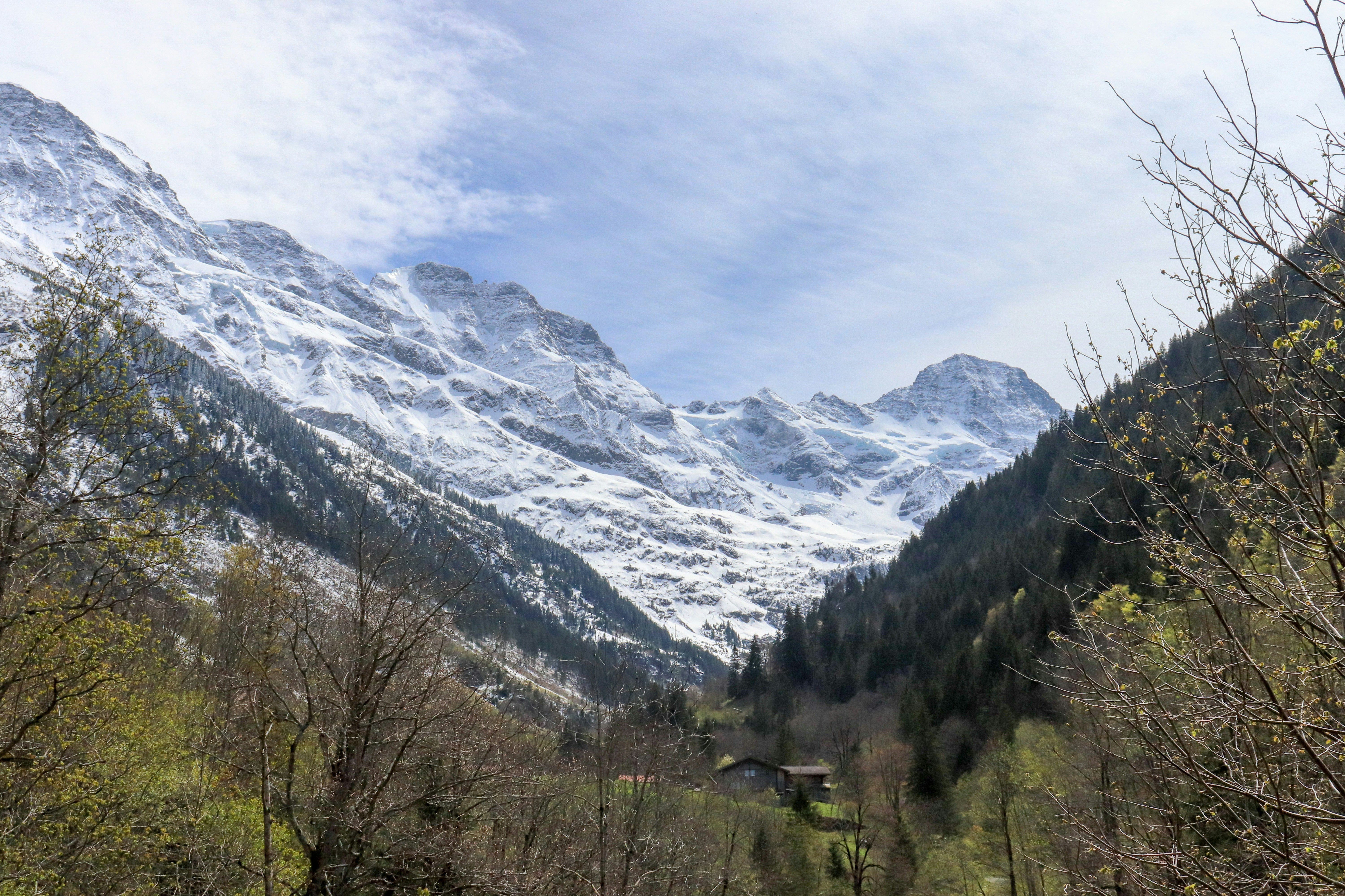 Photo by rodrigocuri