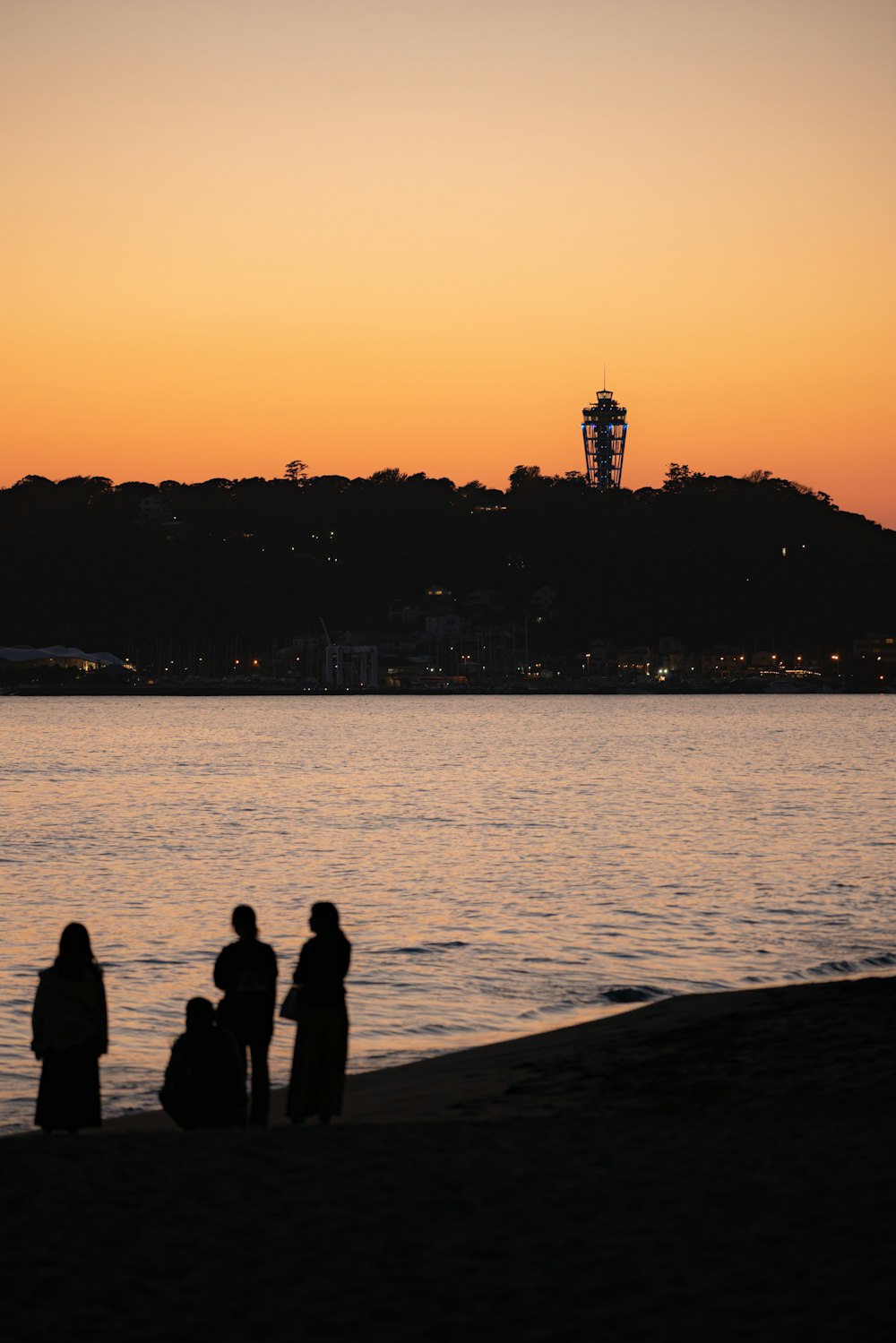 silhouette of people standing on dock during sunset