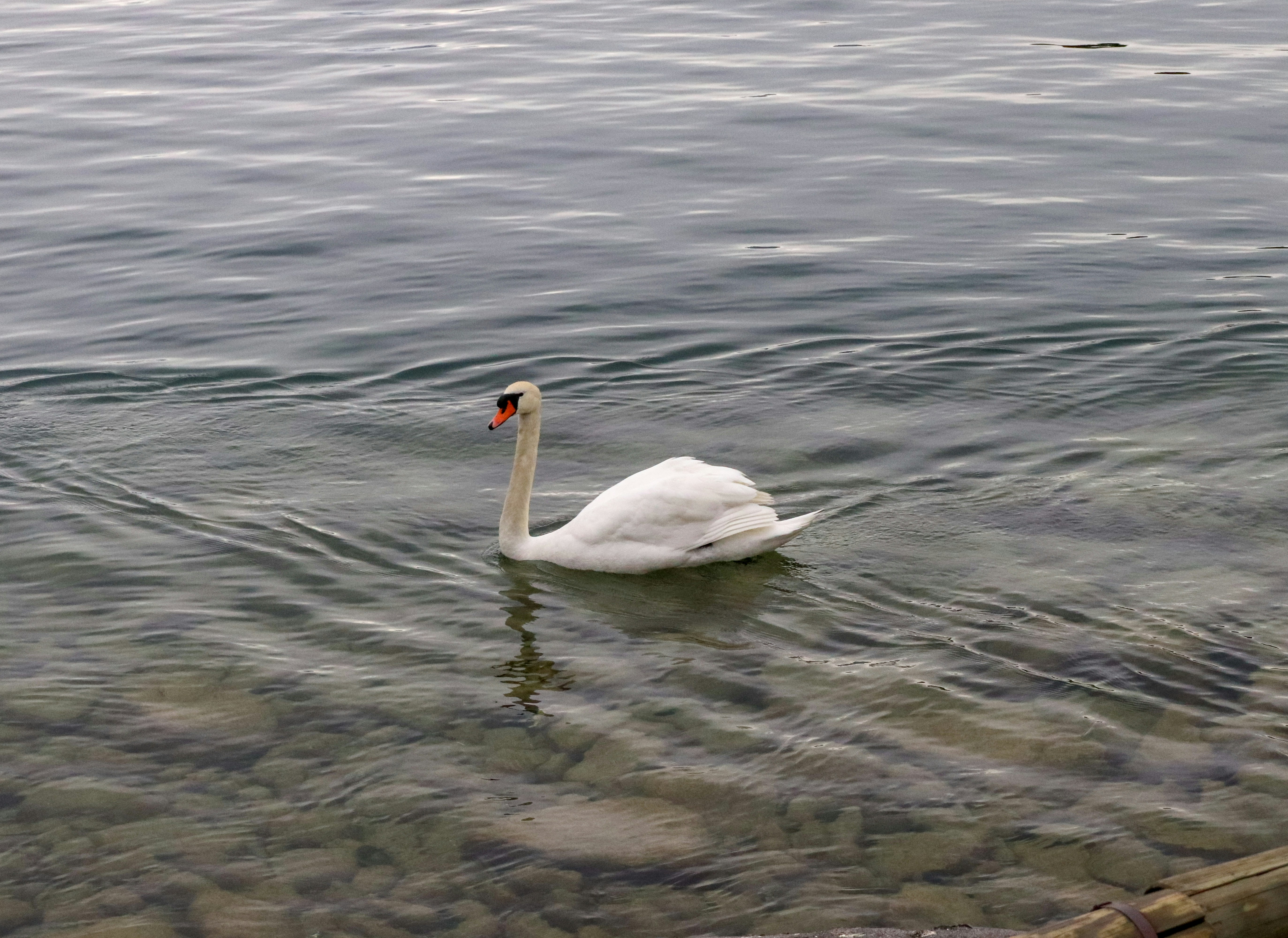 Photo by rodrigocuri