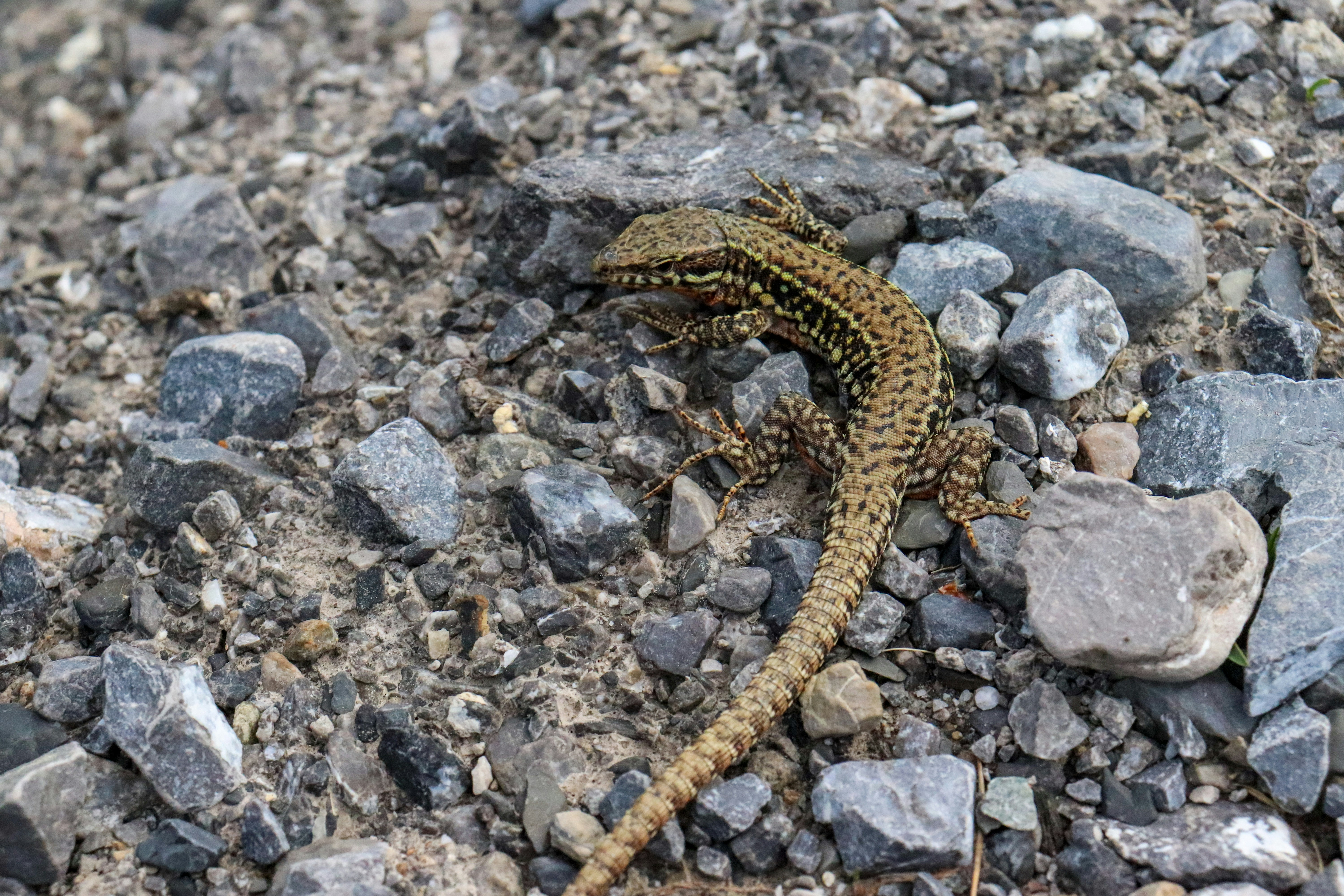 Photo by rodrigocuri