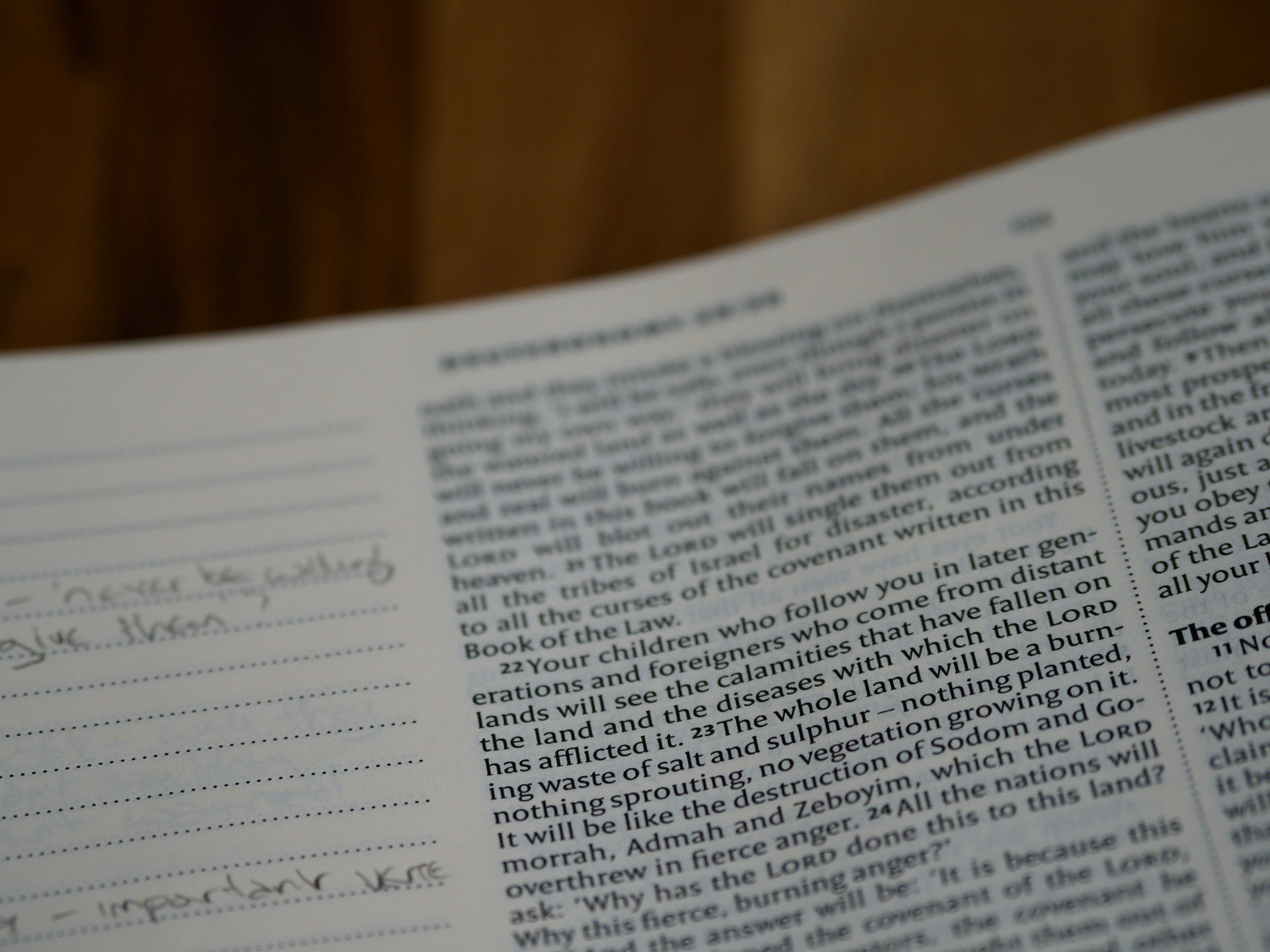 Photo by brett_jordan