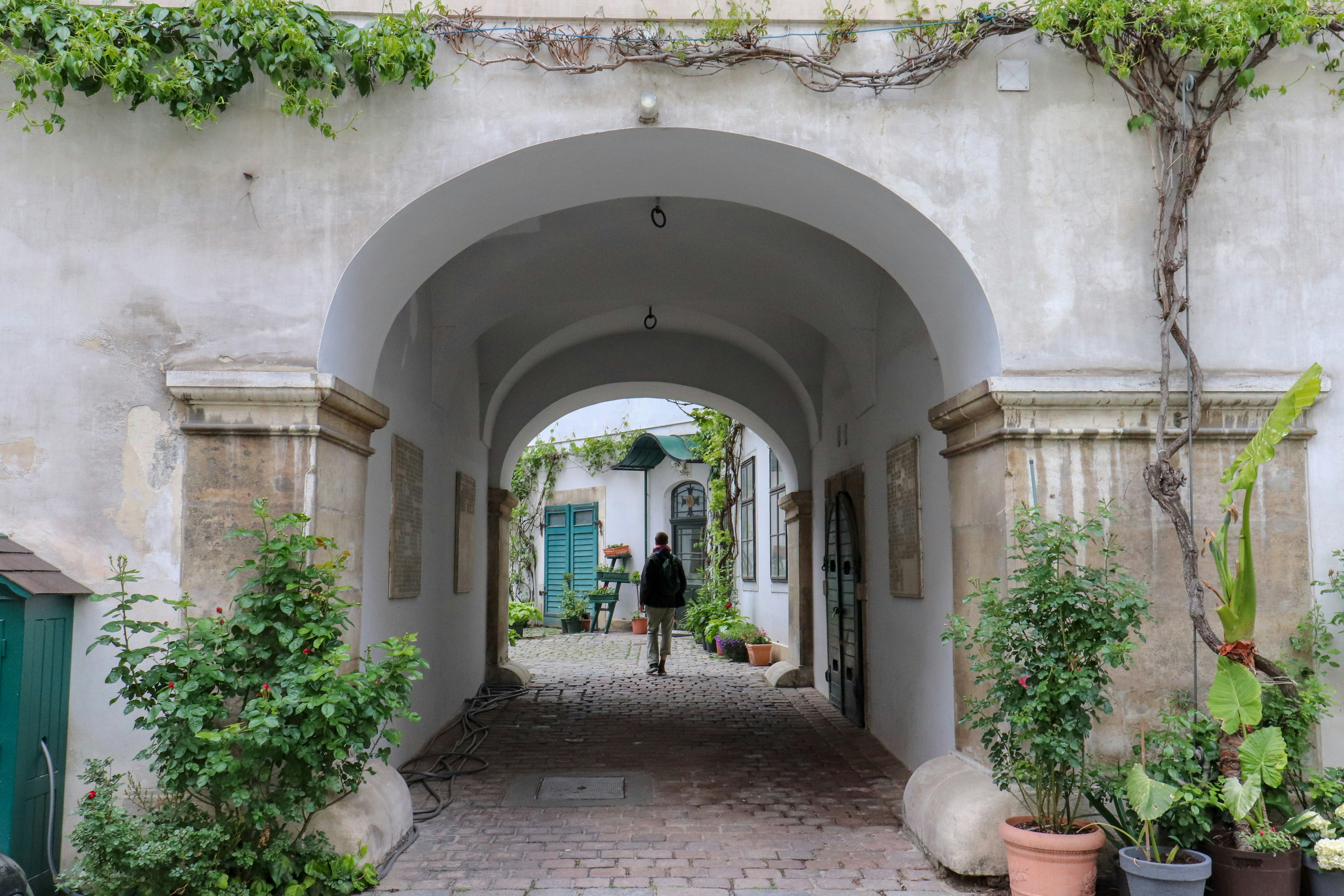 Photo by rodrigocuri