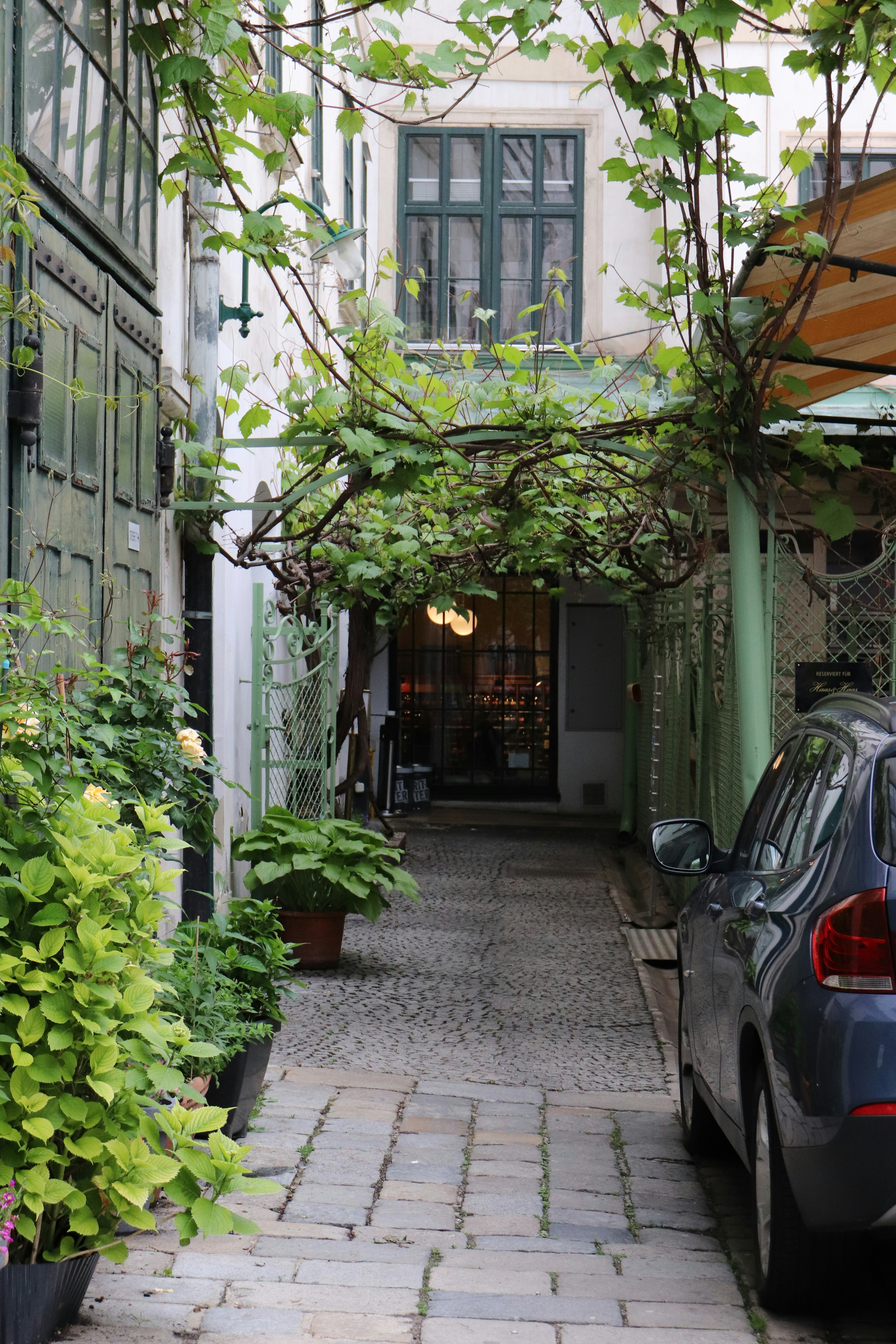 Photo by rodrigocuri