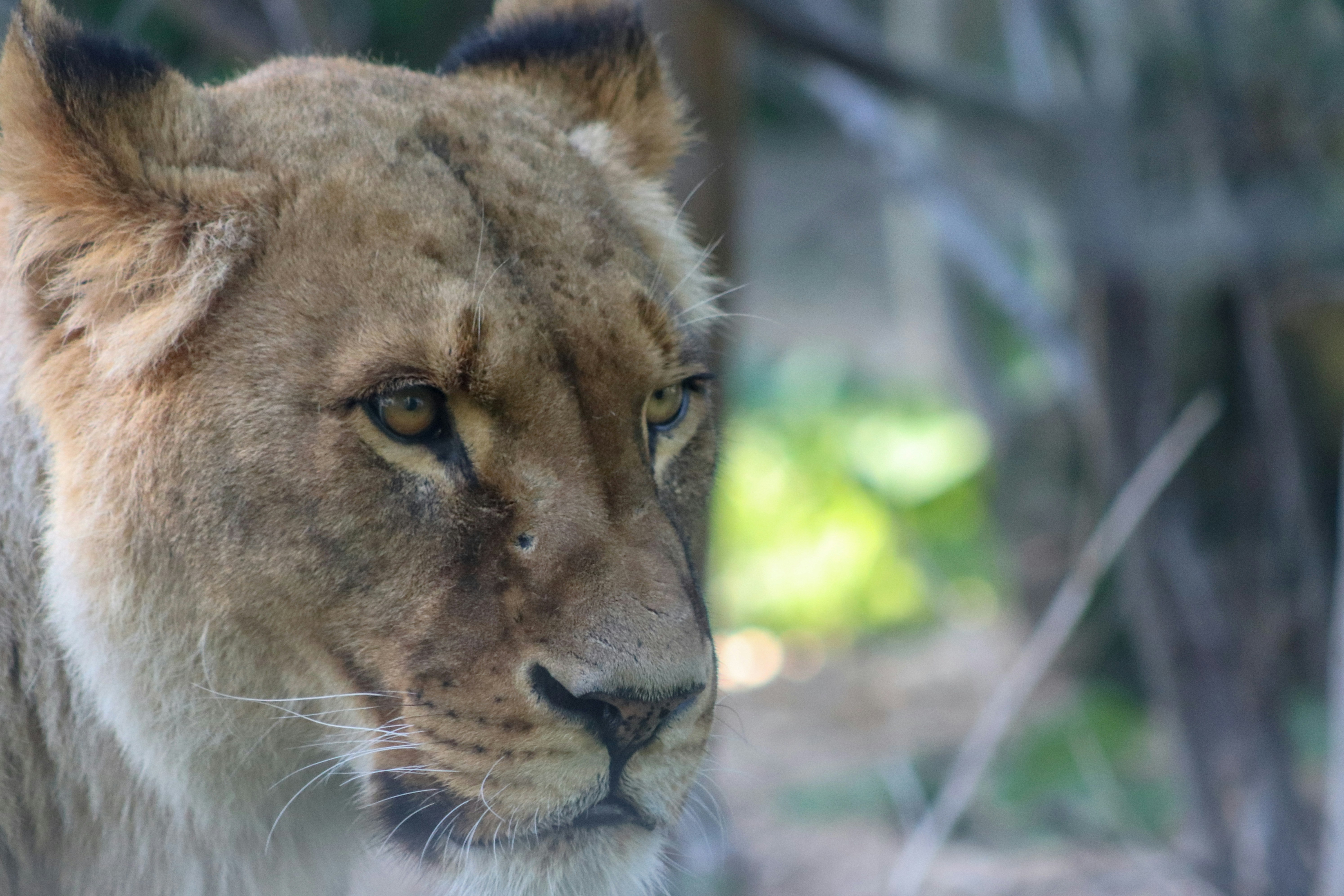 Photo by rodrigocuri