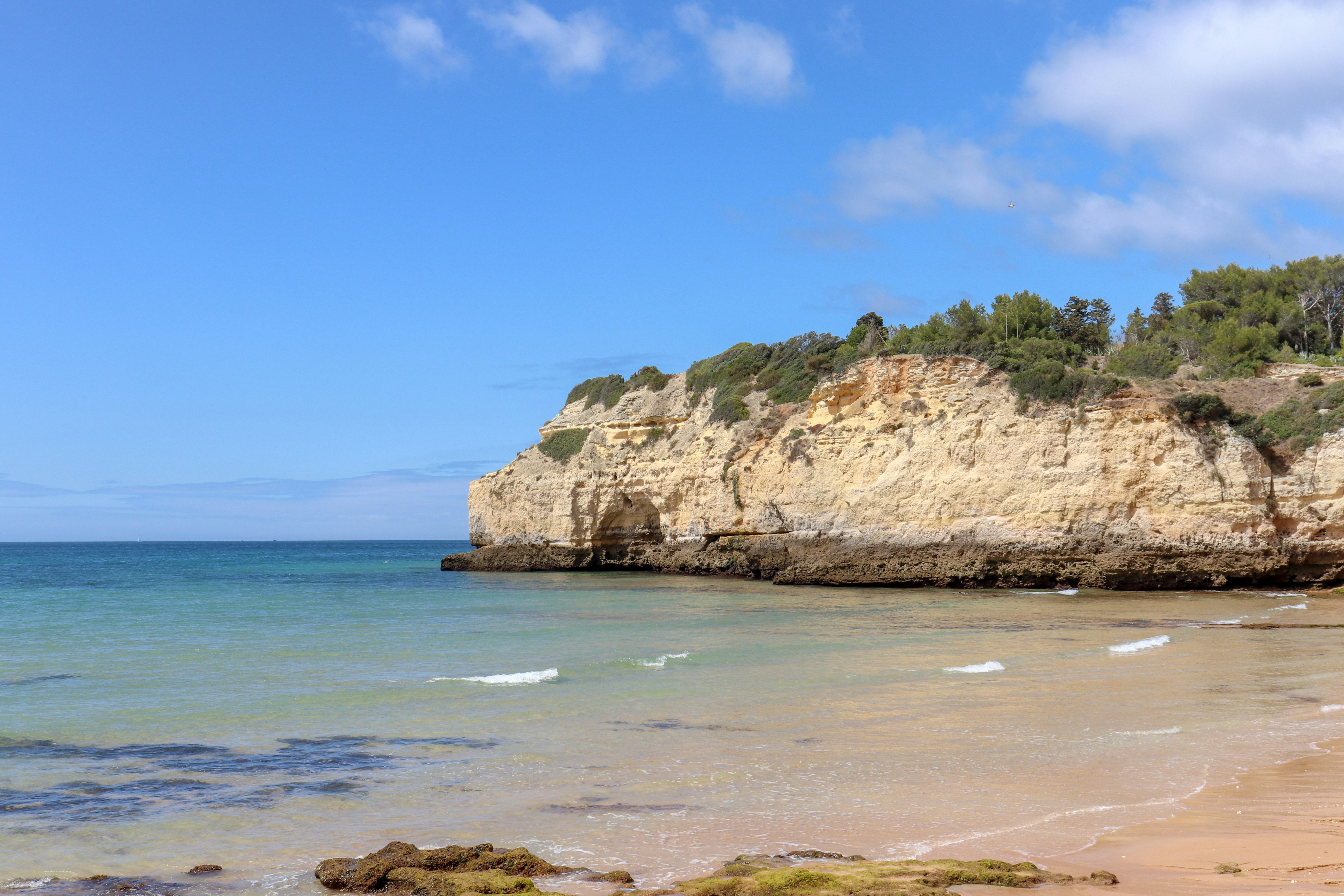 Photo by rodrigocuri