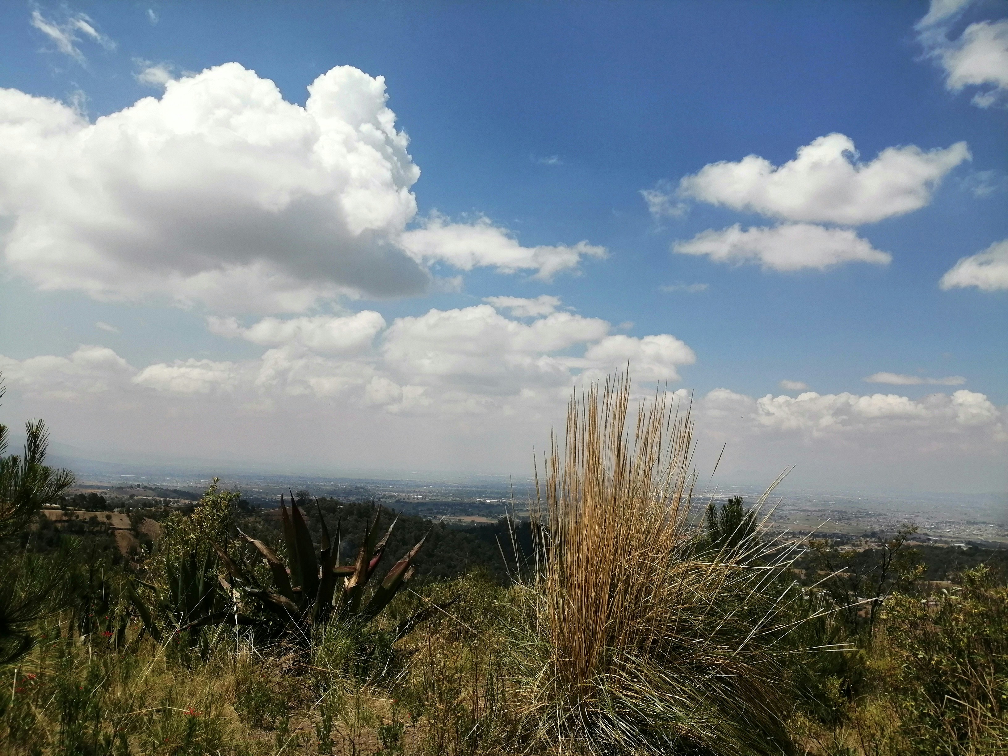 Terreno en Rancho Tecate