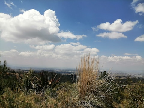 A scenic view of Cholul, representing the land available.