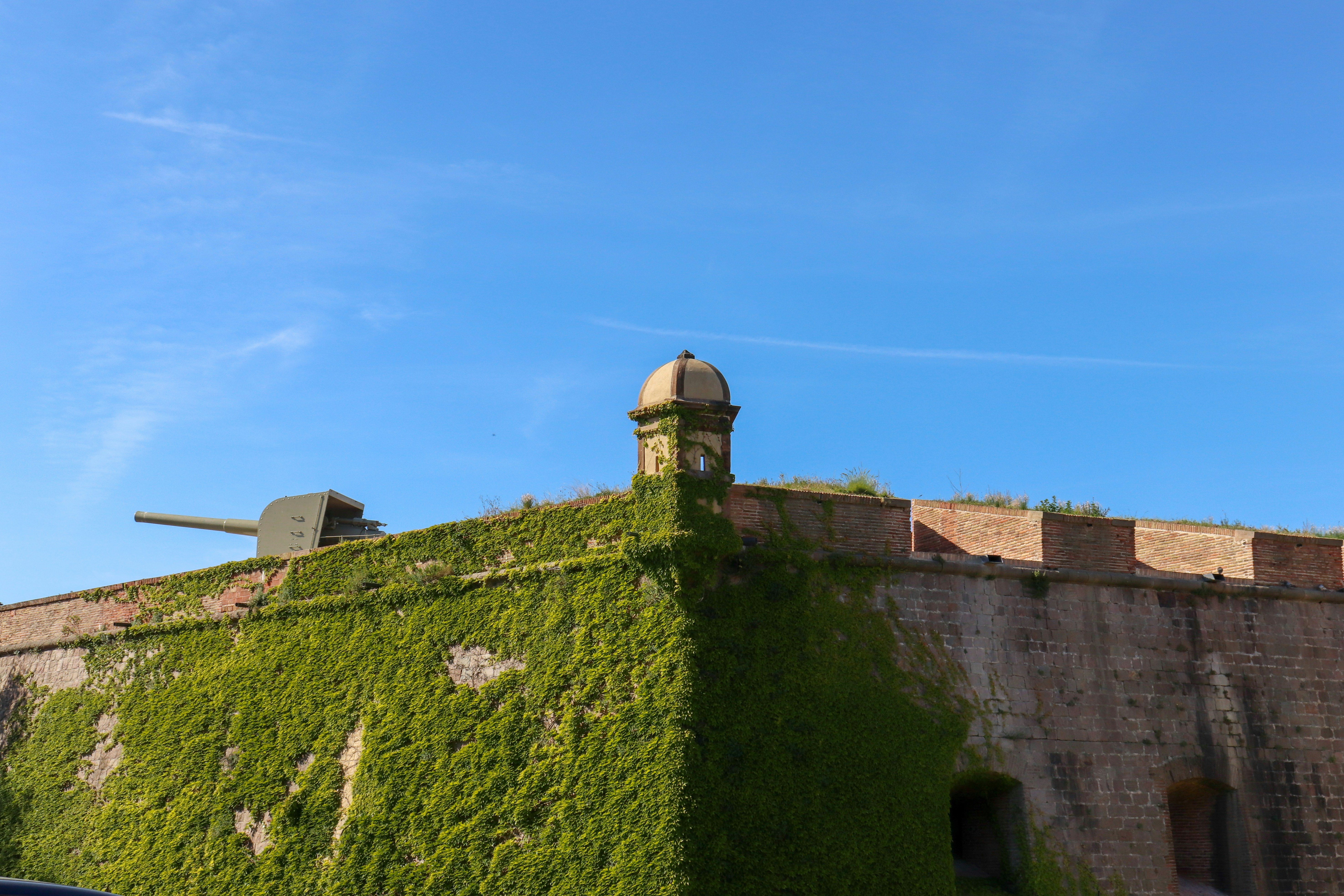 Photo by rodrigocuri