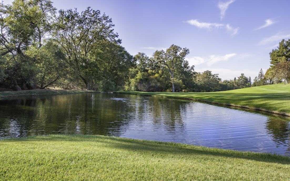 Park with a Pond and Trees