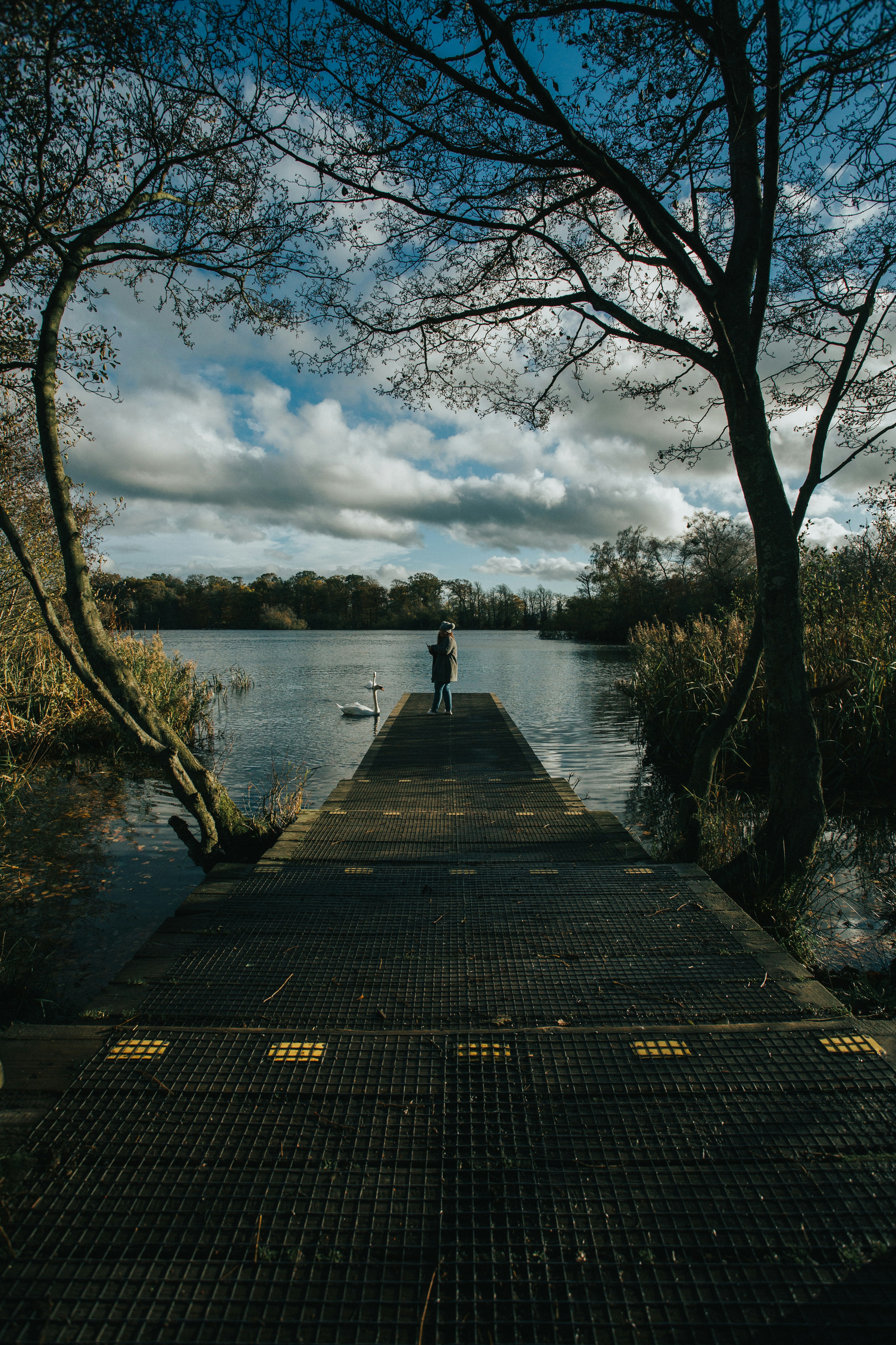 Photo by jonny9720