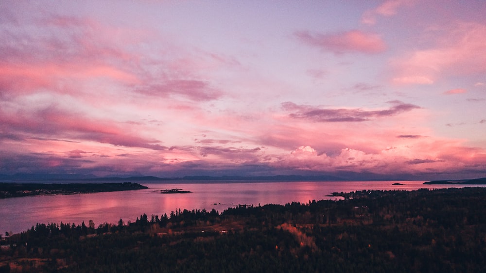 Plan d’eau près des arbres au coucher du soleil