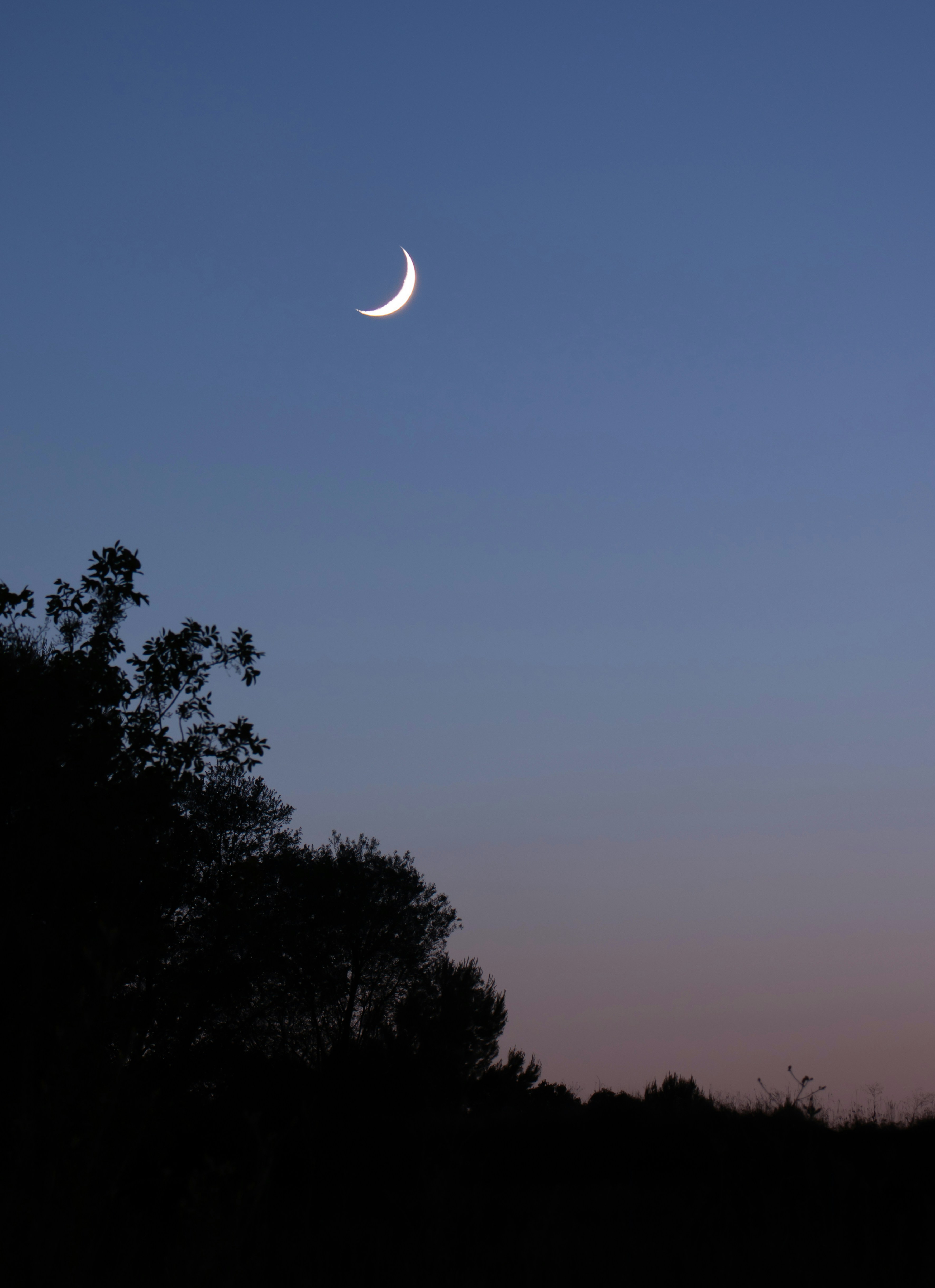 Photo by rodrigocuri