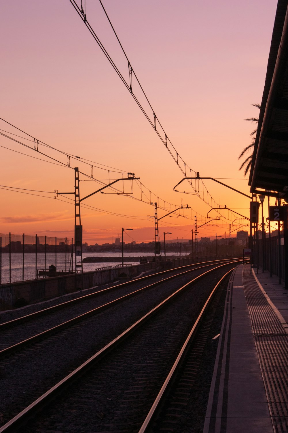 Tren cerca de las vías del tren durante el día