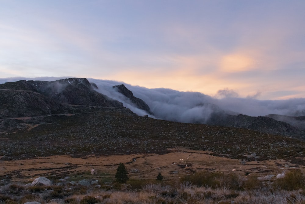 campo di erba verde vicino alla montagna coperta di neve durante il giorno