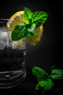 A refreshing glass of detox water with lemon, cucumber, and mint leaves