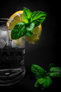 Refreshing glass of water with lemon and mint, placed on a light background.