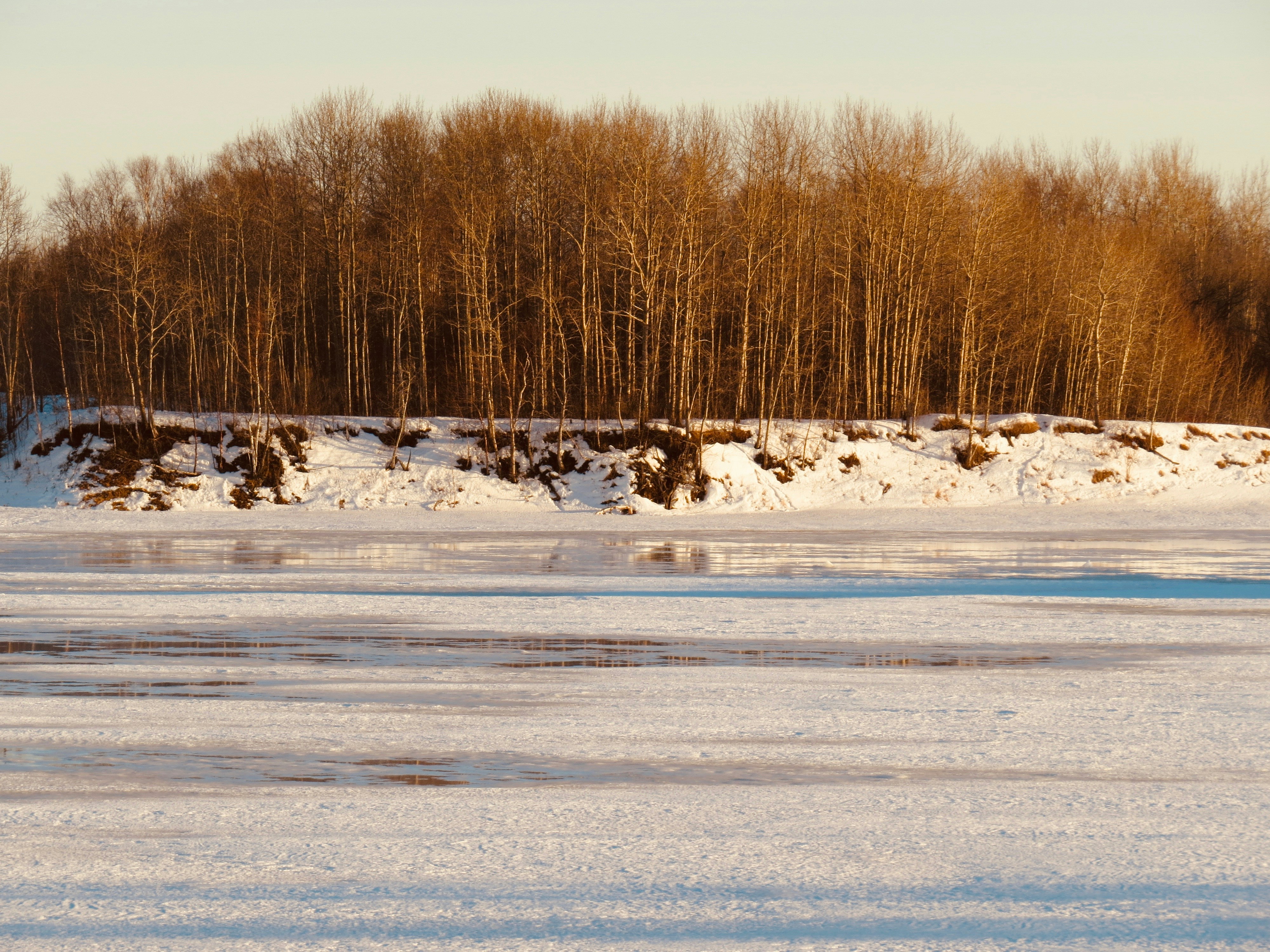 Photo by jaimedantas