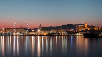 city skyline near body of water during night time