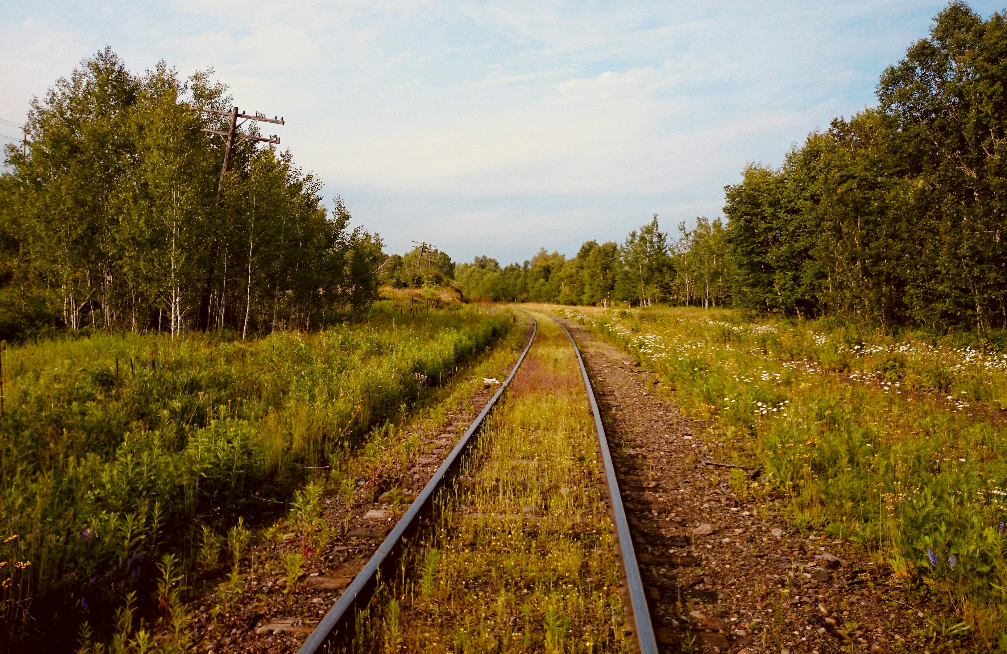 Photo by jaimedantas