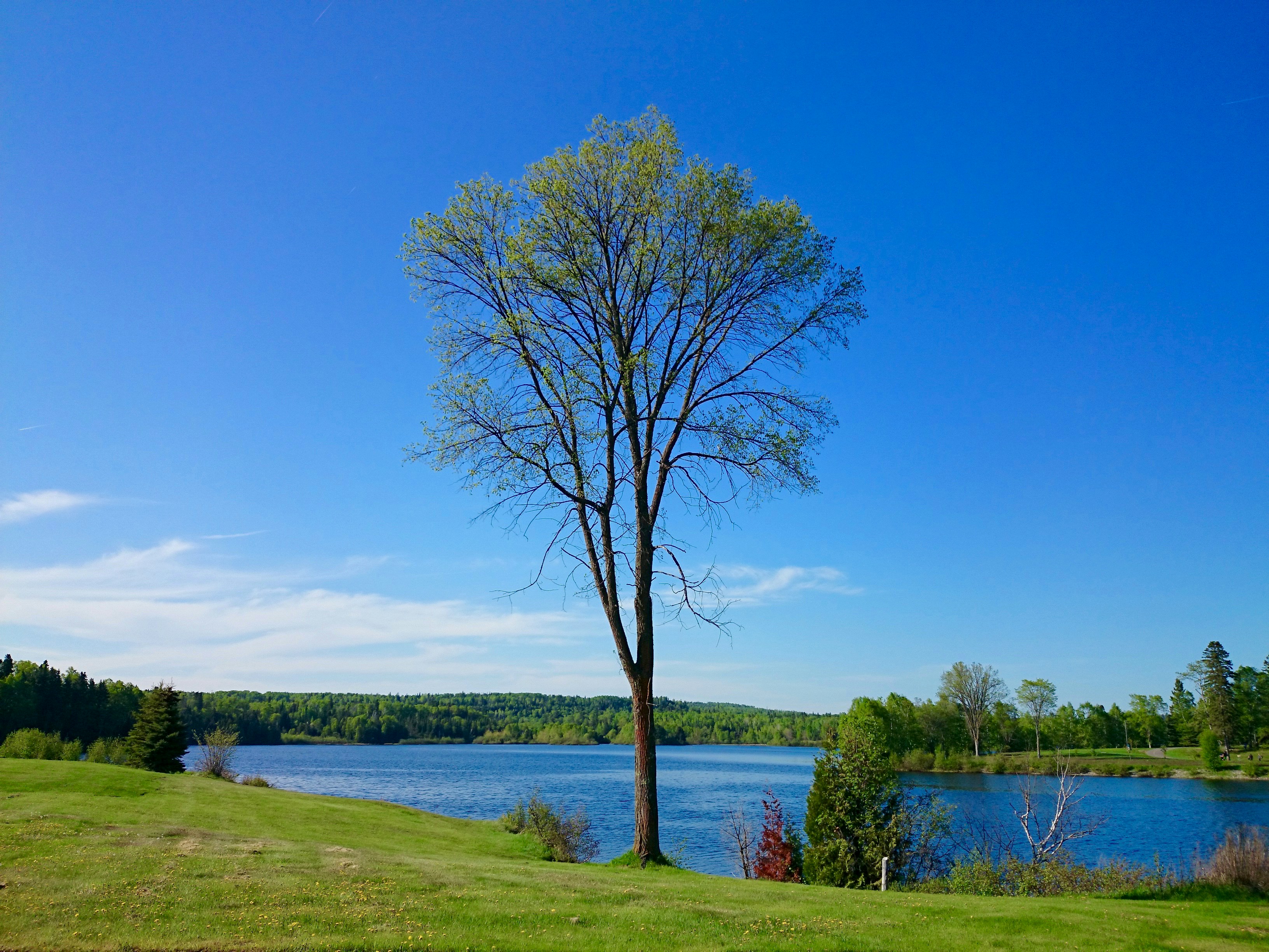 Photo by jaimedantas