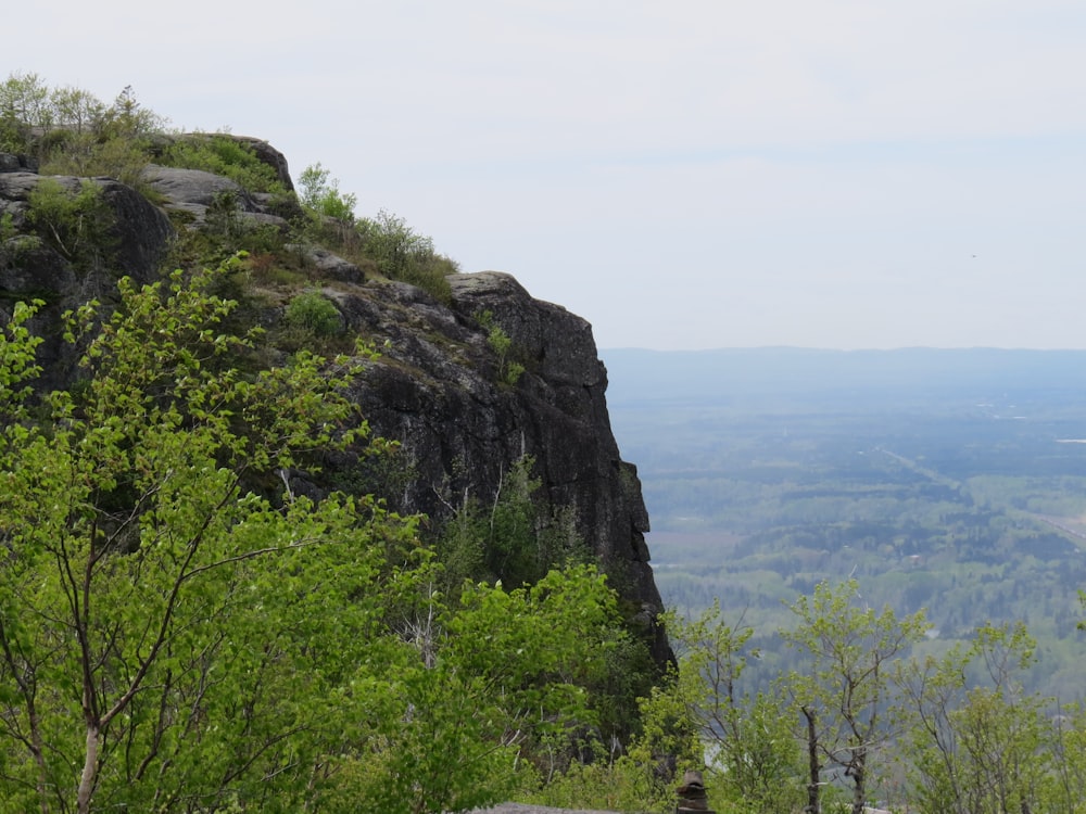 green trees on mountain during daytime