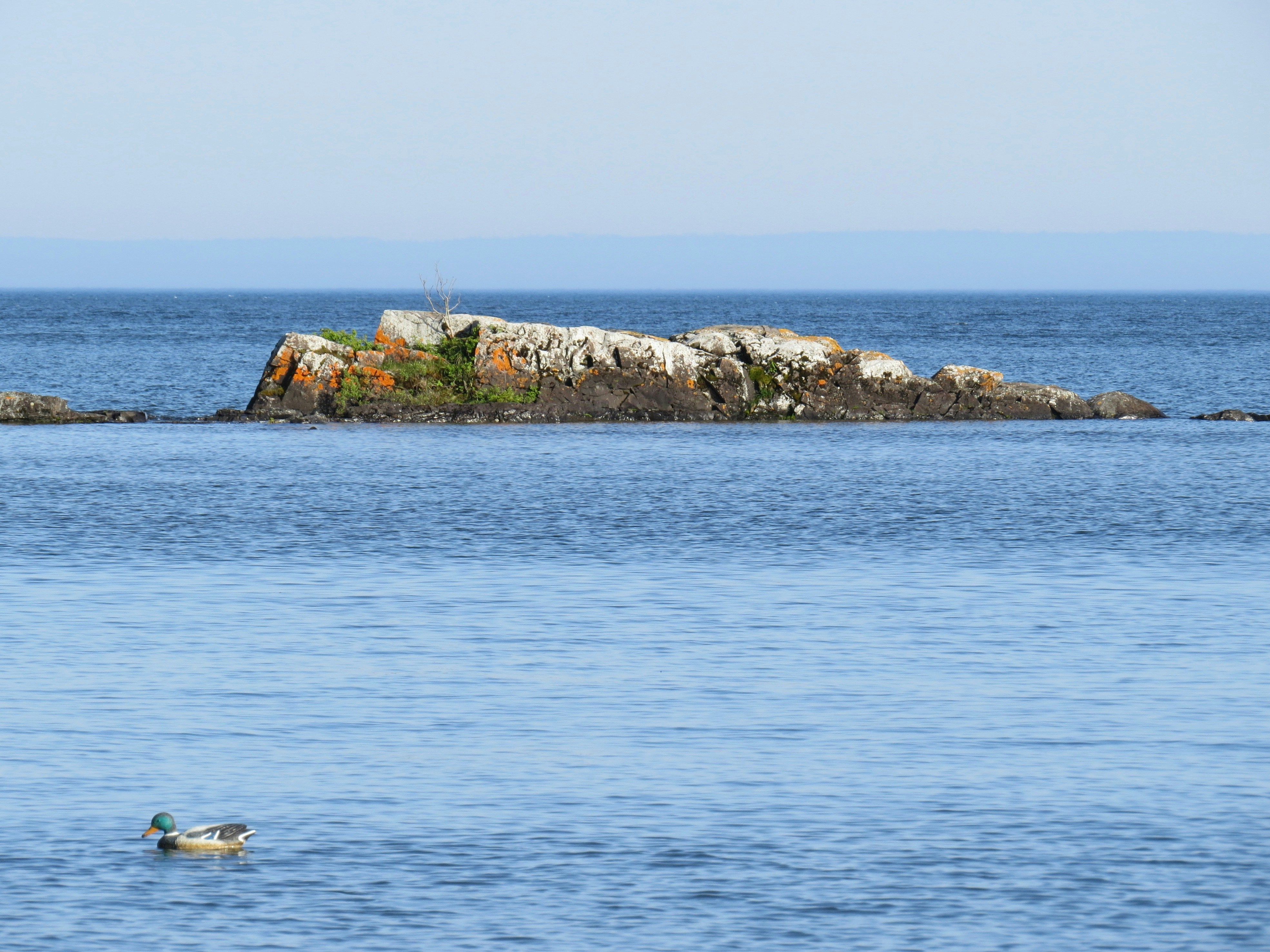 Photo by jaimedantas