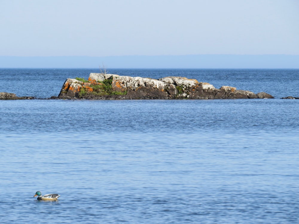 white and blue boat on sea during daytime